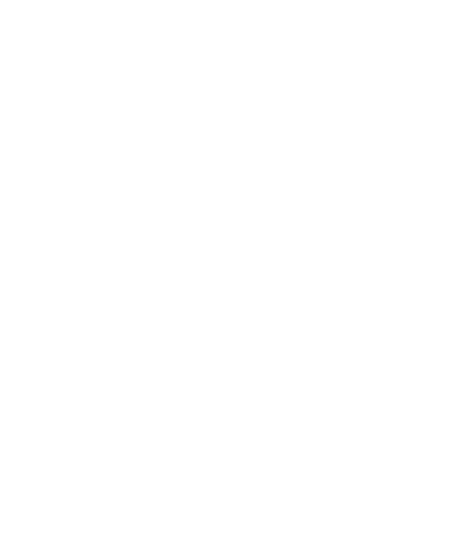 Wild Giants Conservation Fund