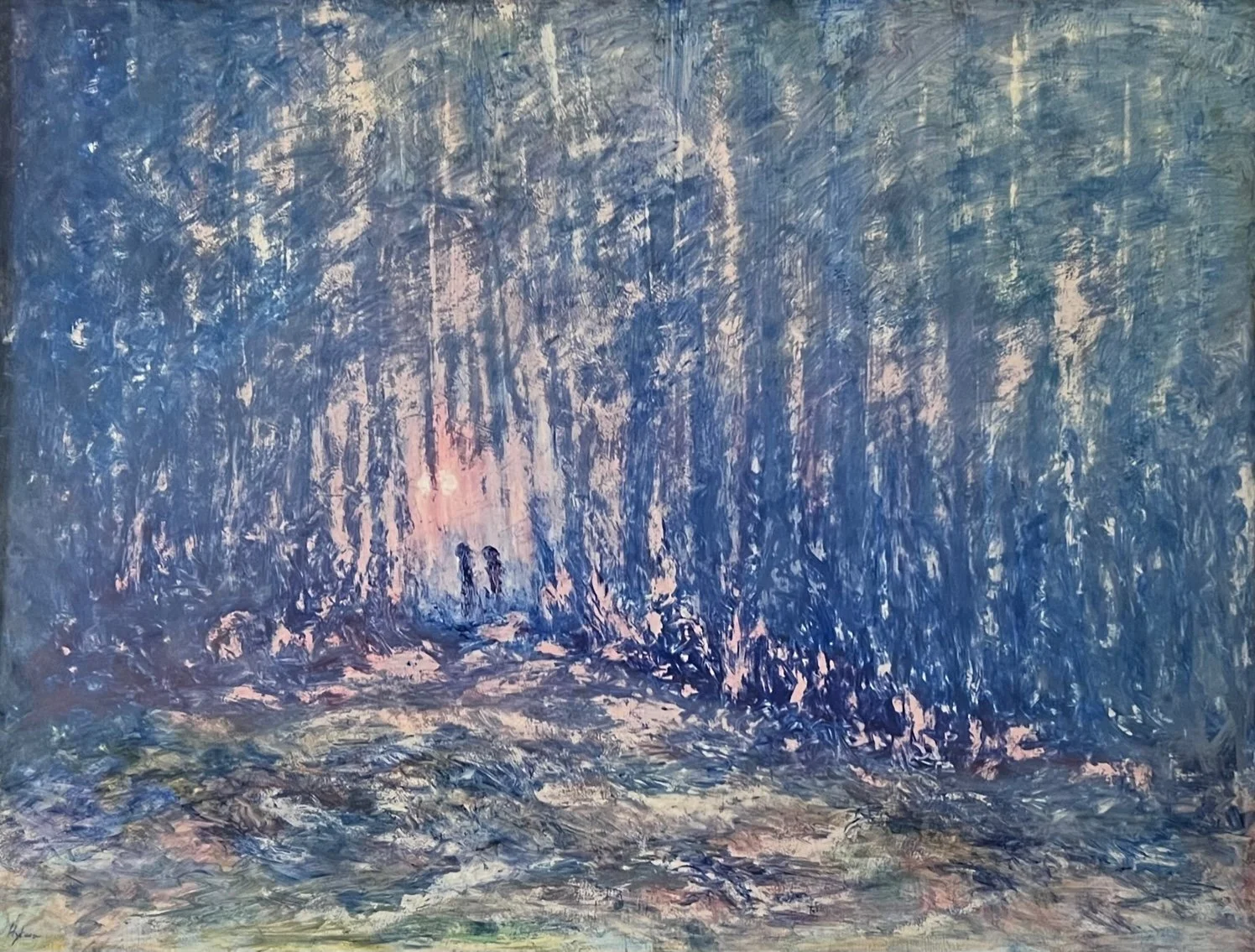 Whitewoods