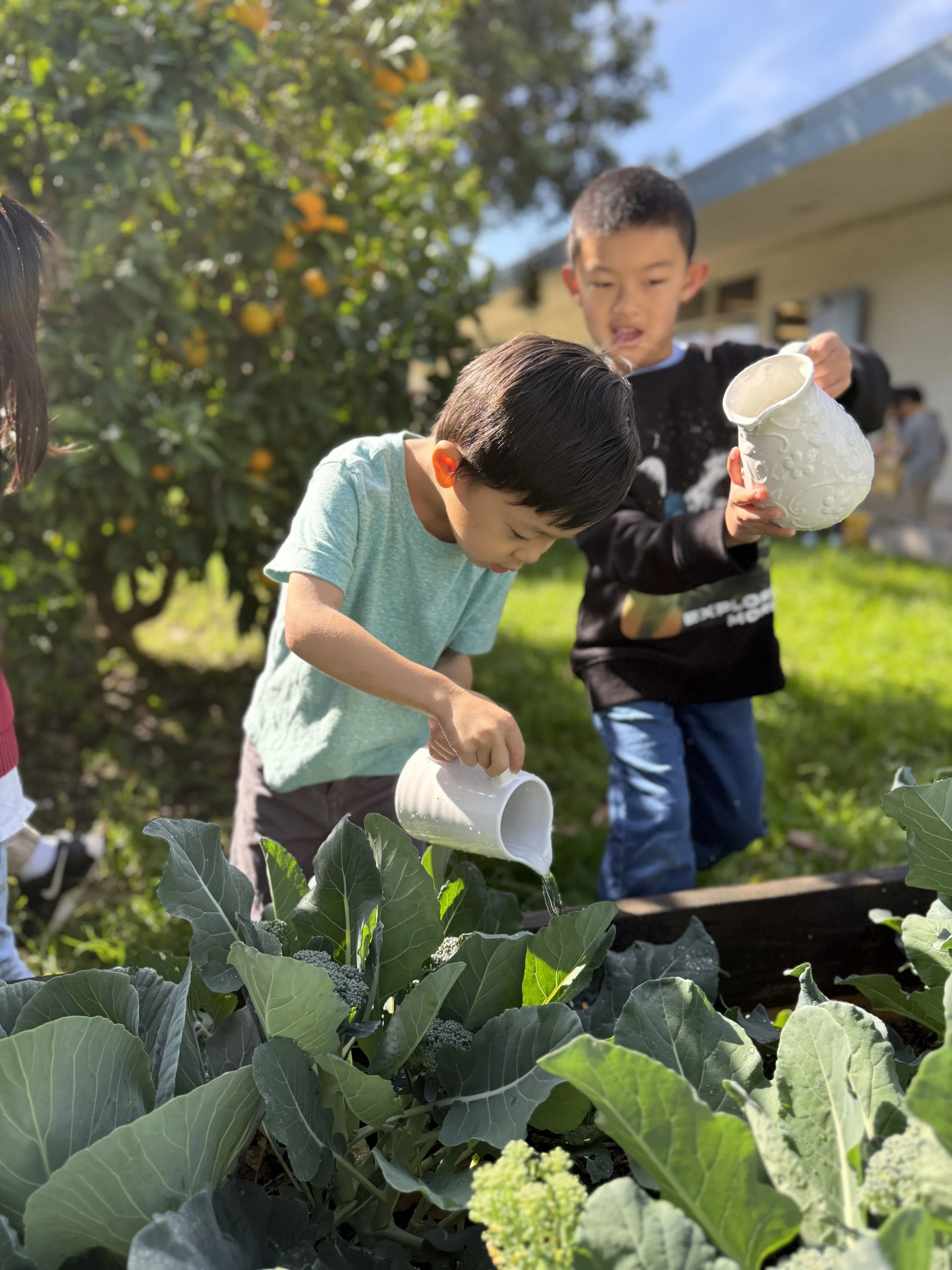 Is Montessori Right for My Child?