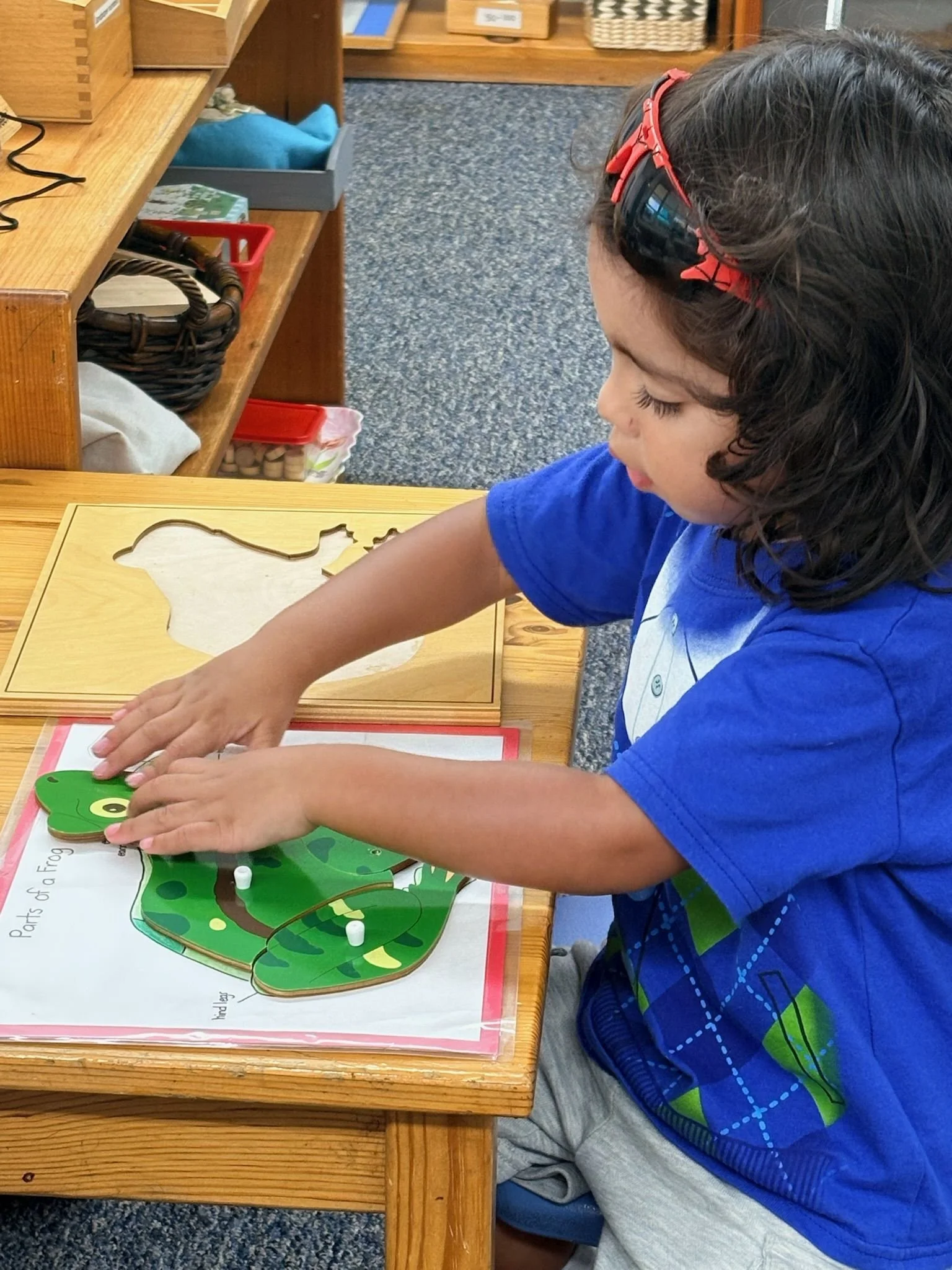 Freedom Within Limits: What Freedom Really Means in Montessori
