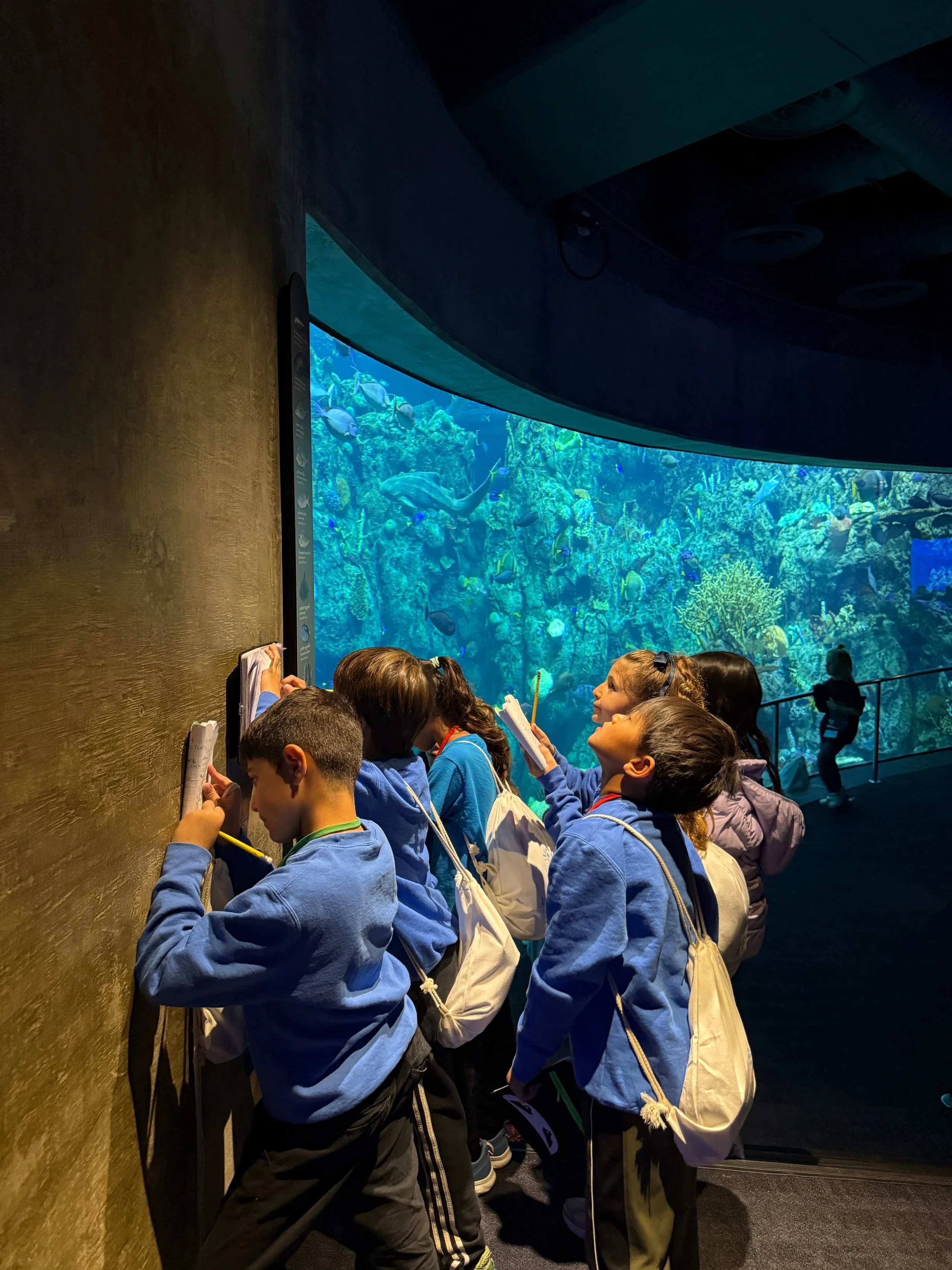 Children in blue uniforms observe the aquatic life through a large curved glass at an aquarium.