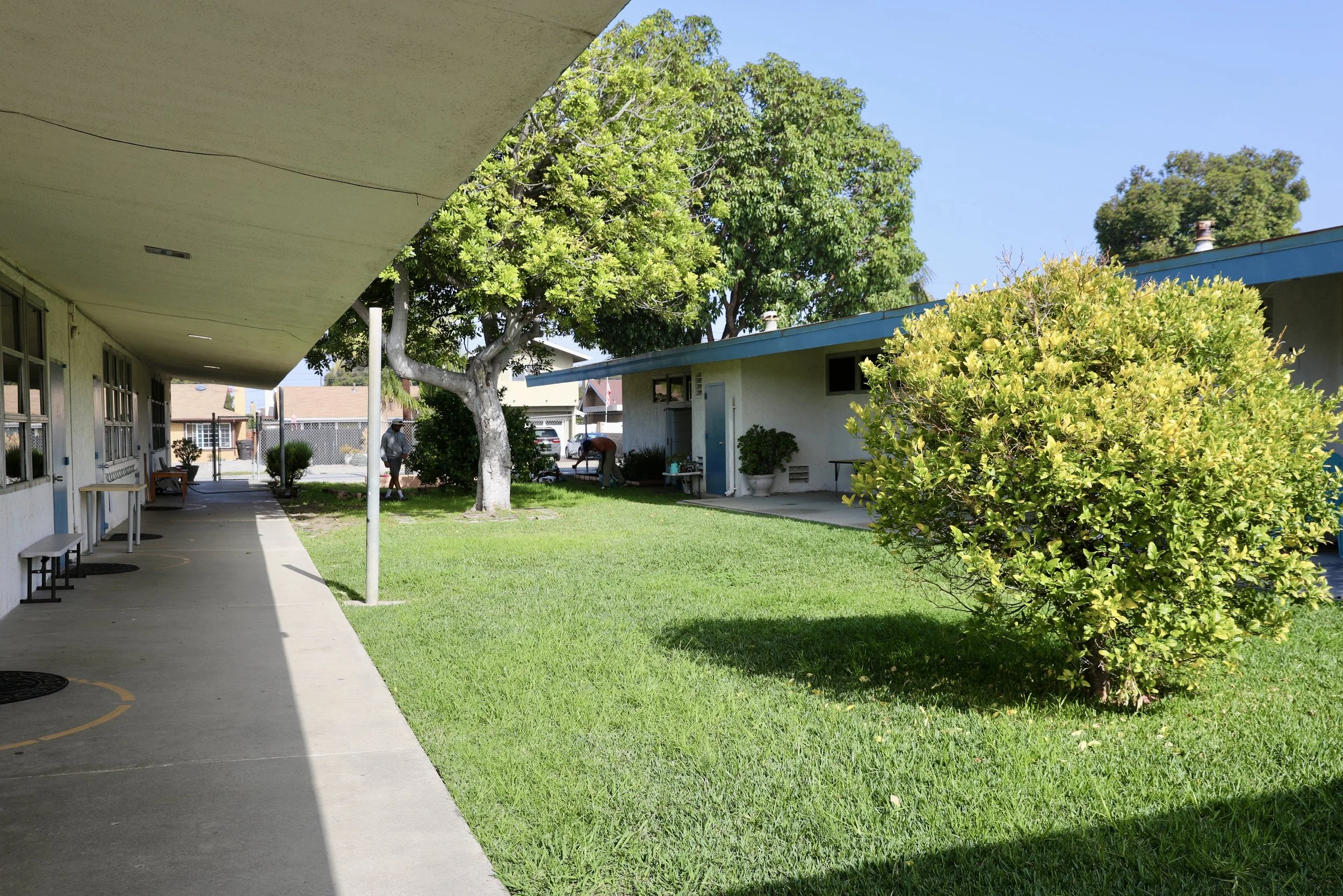 School building with a grassy yard, trees, bushes, and a sidewalk.