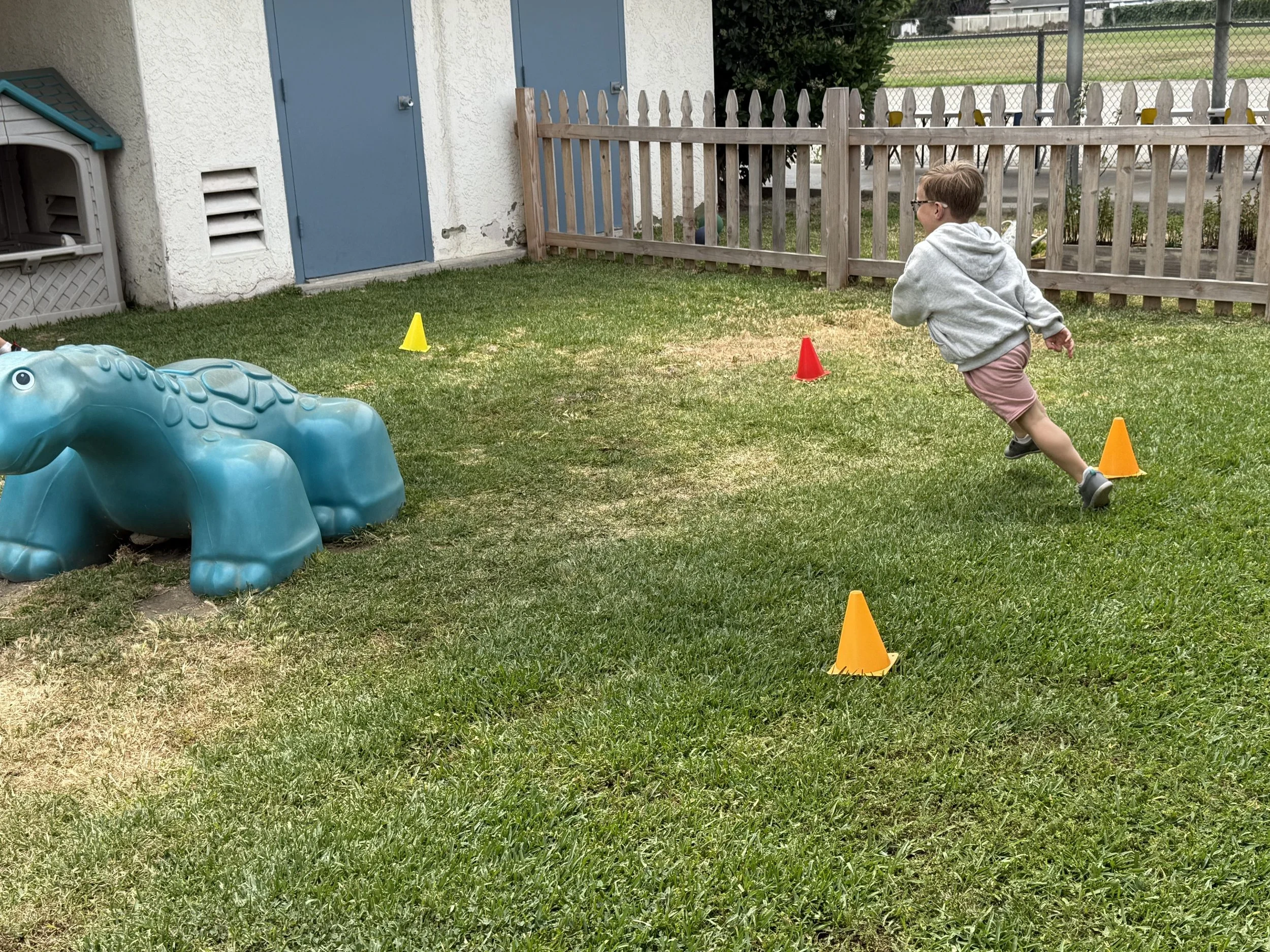 Child running around small orange and yellow traffic cones in a grassy yard outside a building with a wooden fence.