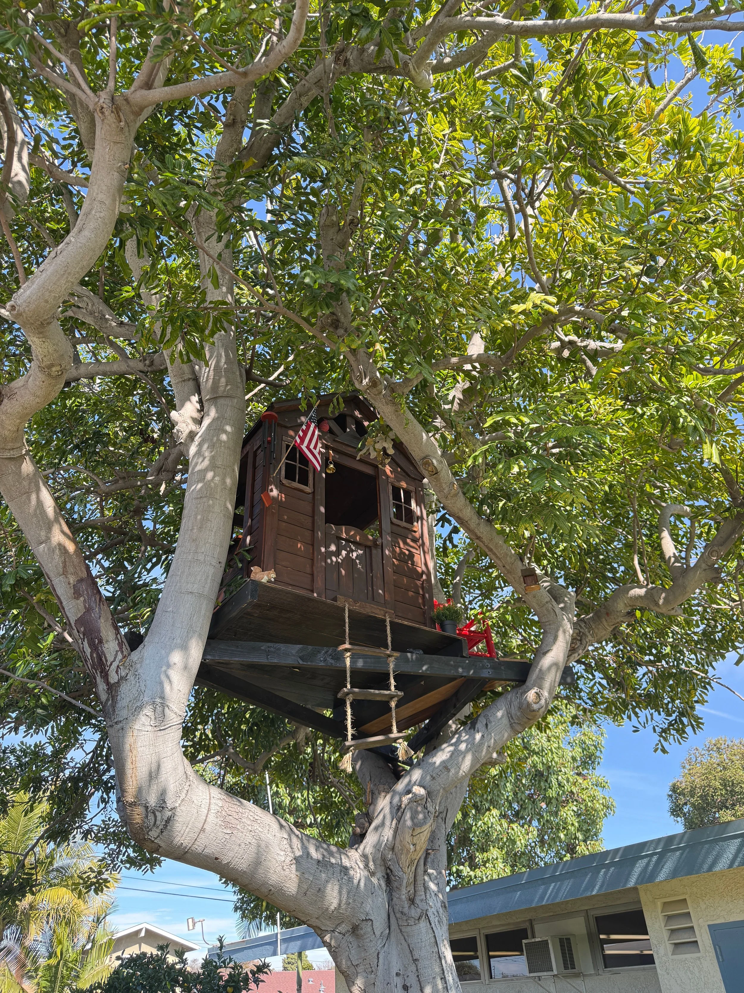 A small wooden treehouse built on a sturdy branch of a large tree with green leaves, American flag, and a red chair nearby.