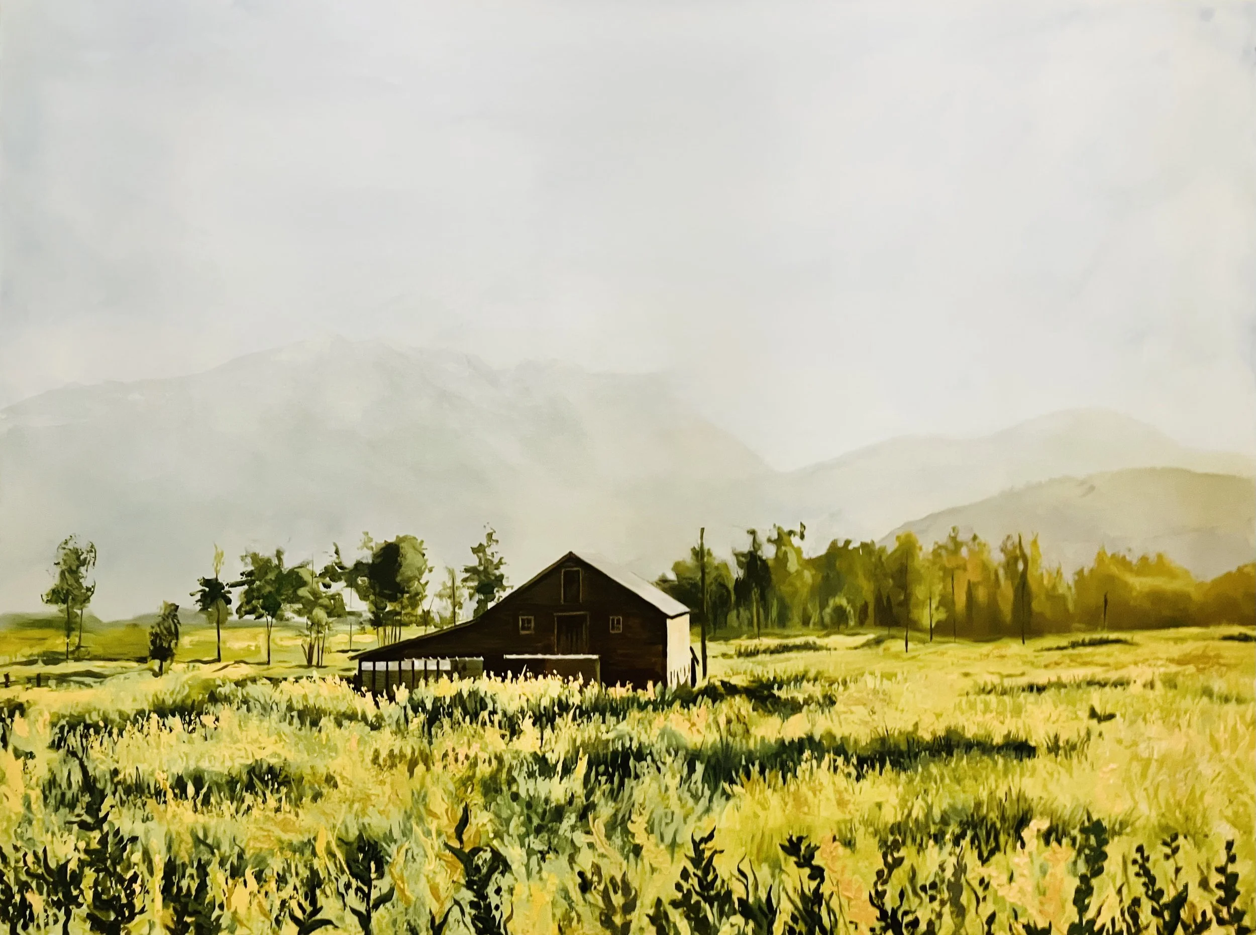 Mountain View Ranch ORIGINAL