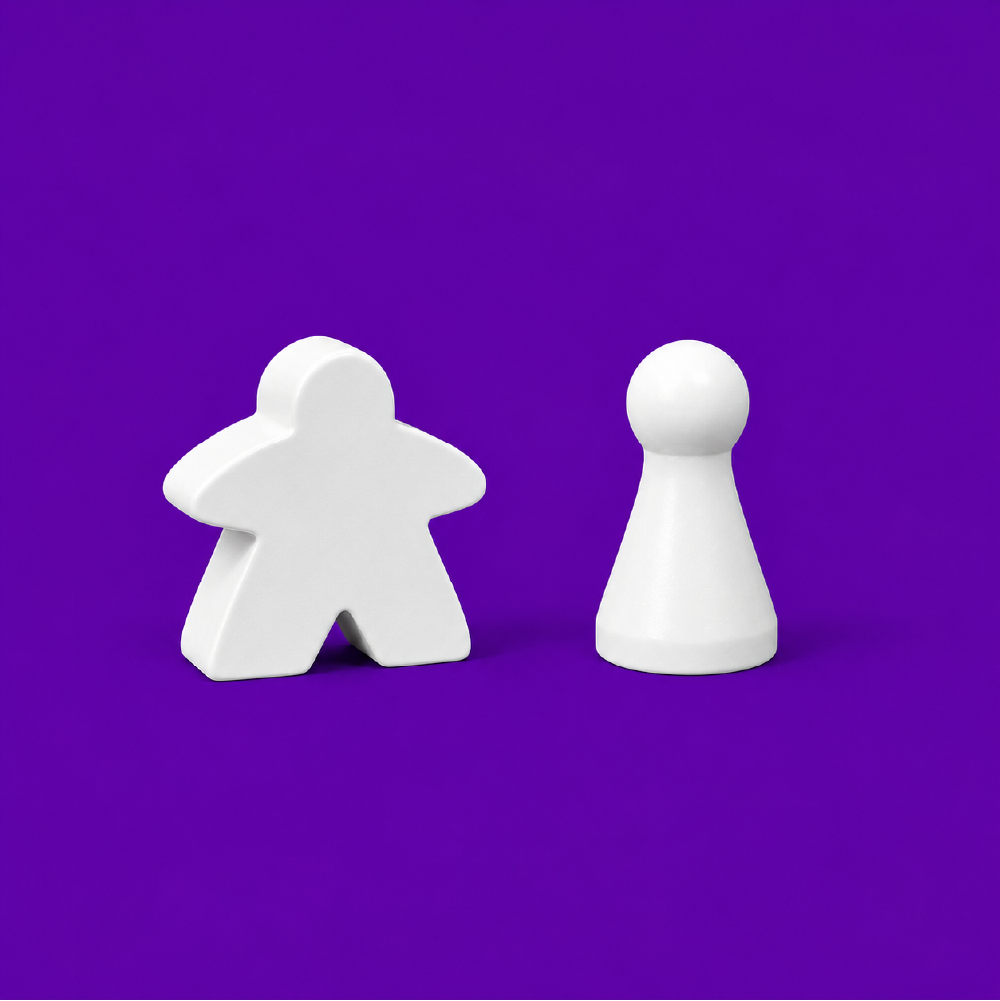 Photo pion et meeple 