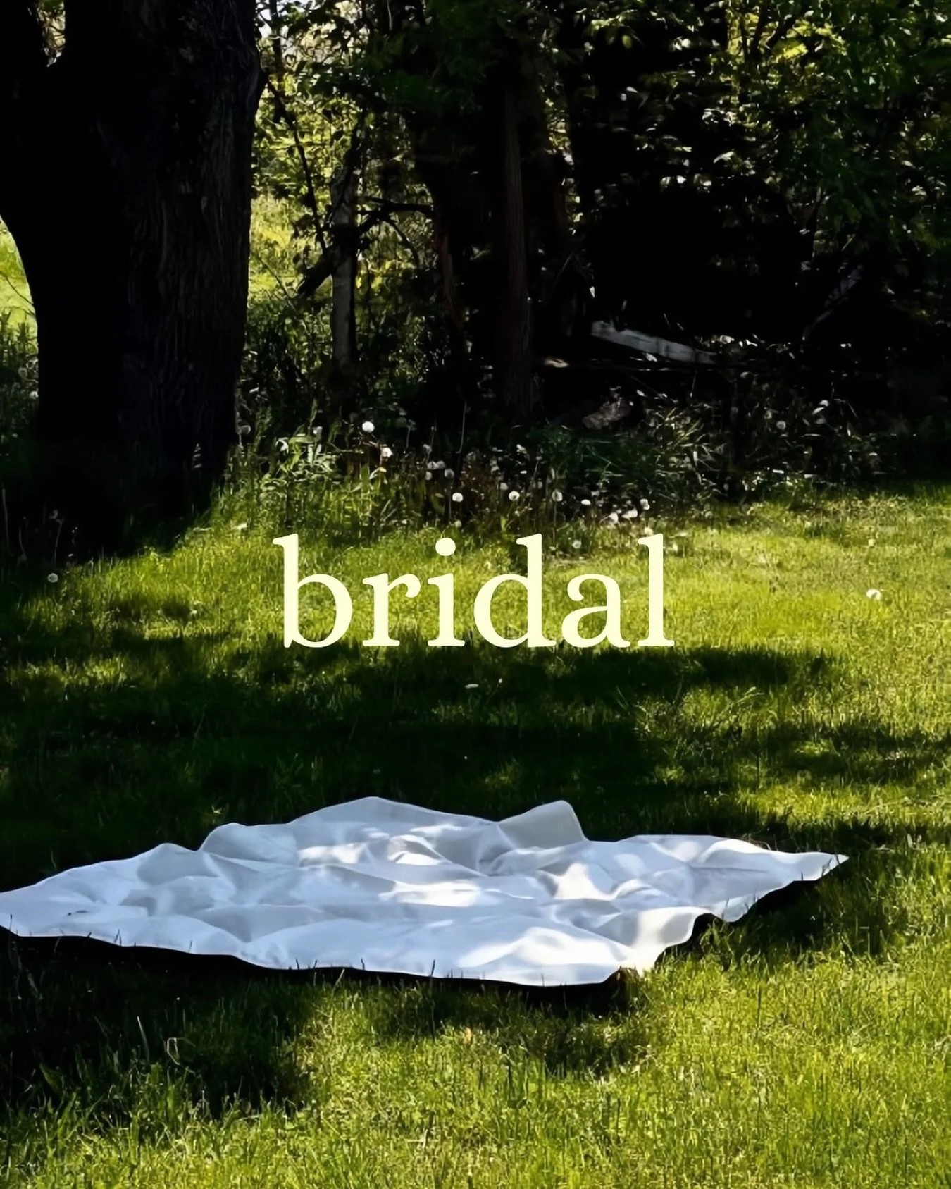 ~ bridal ~ 

Intentional, bride-centered makeup artistry.
 starting beneath the surface &mdash;  how do you want to feel?
Trials are included and un-rushed,
refined together until confidence is embodied.
I come to your space, bringing a calm, on-the-