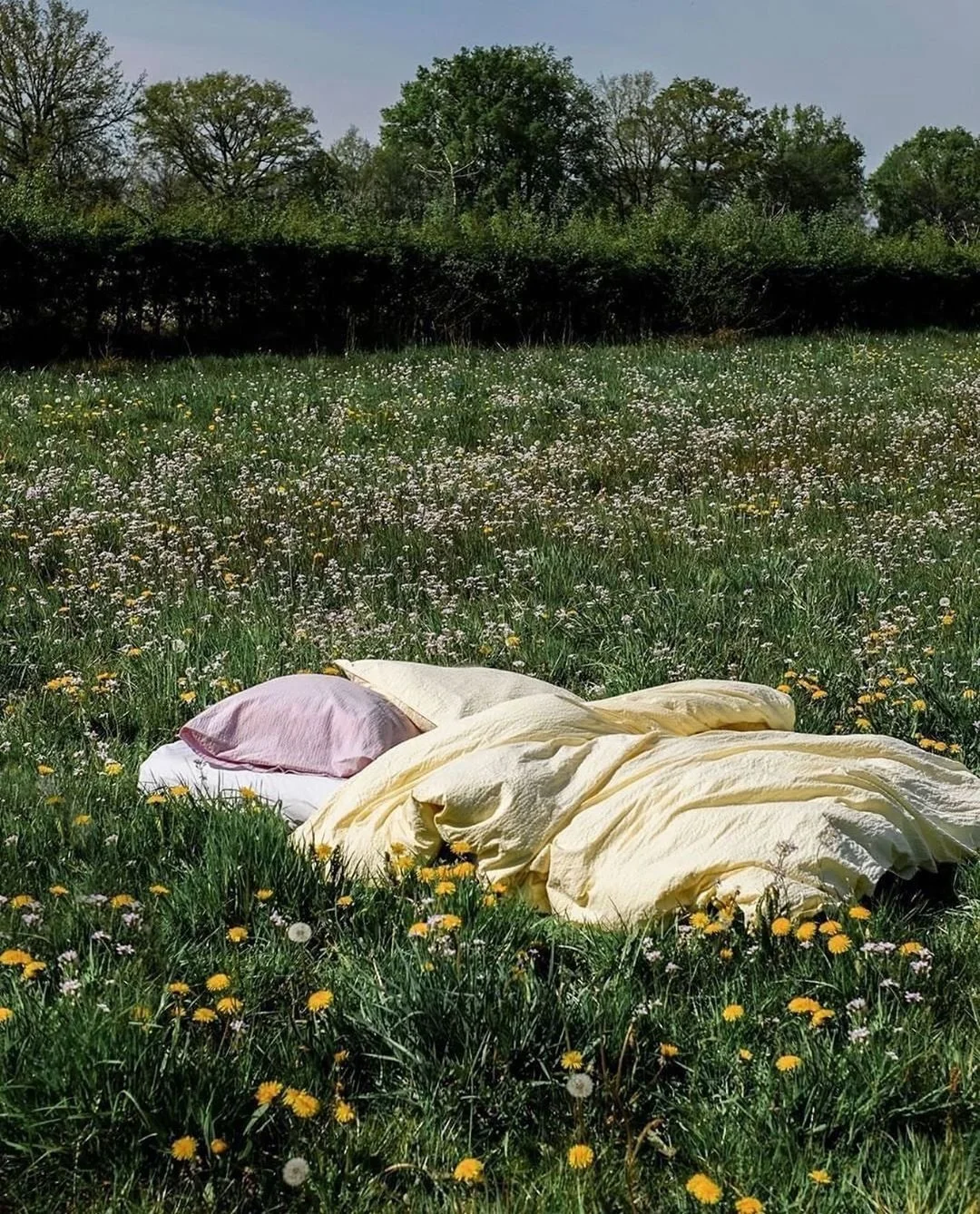it&rsquo;s spring!!!!
