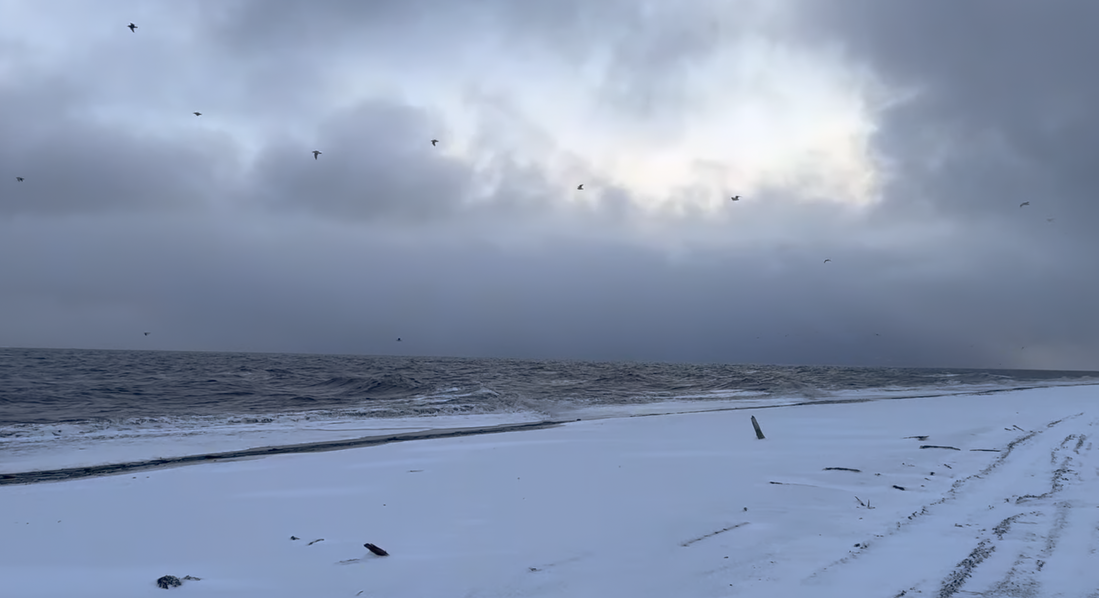 Screenshot 2026-02-20 at 10.31.26 AM.png