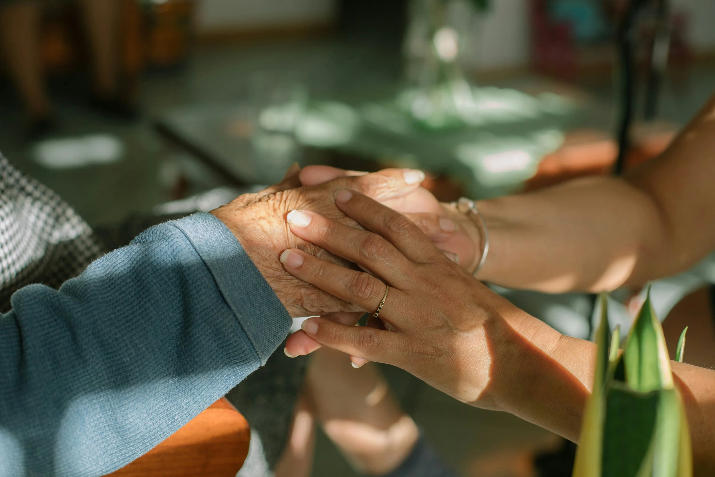Two people are holding hands, one appears to be elderly with wrinkled skin and wearing a long-sleeve shirt, the other appears to be younger, with smooth skin and wearing jewelry.