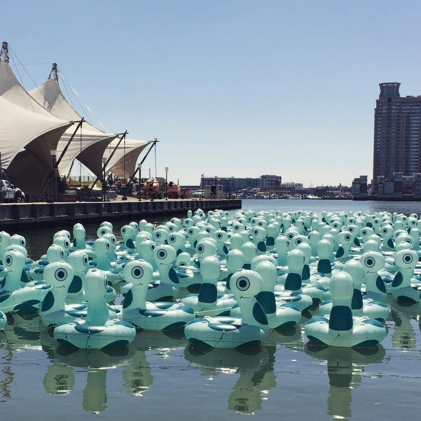 A large number of inflatable duck-shaped figures floating on water at a marina, with tents and buildings in the background under a clear blue sky.