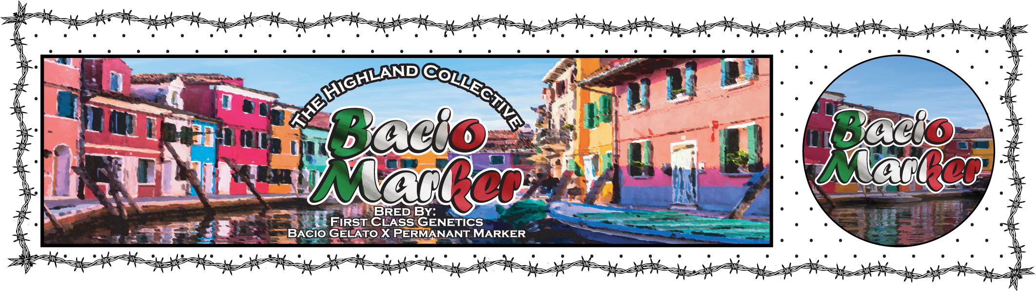 bacio gelato- potfollio- highland.png