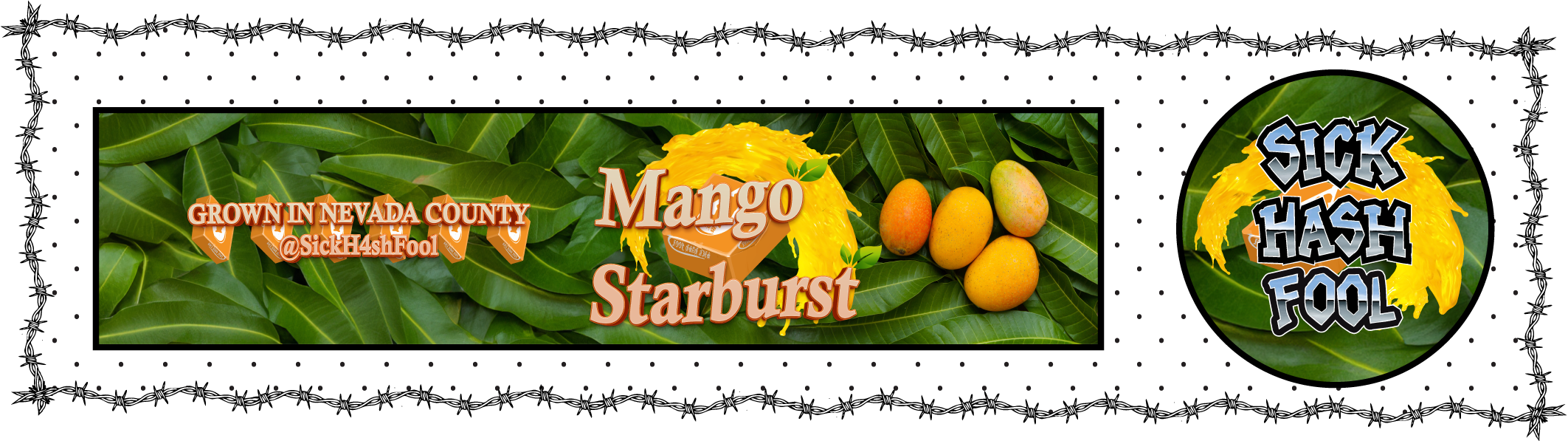 mango starburst.png