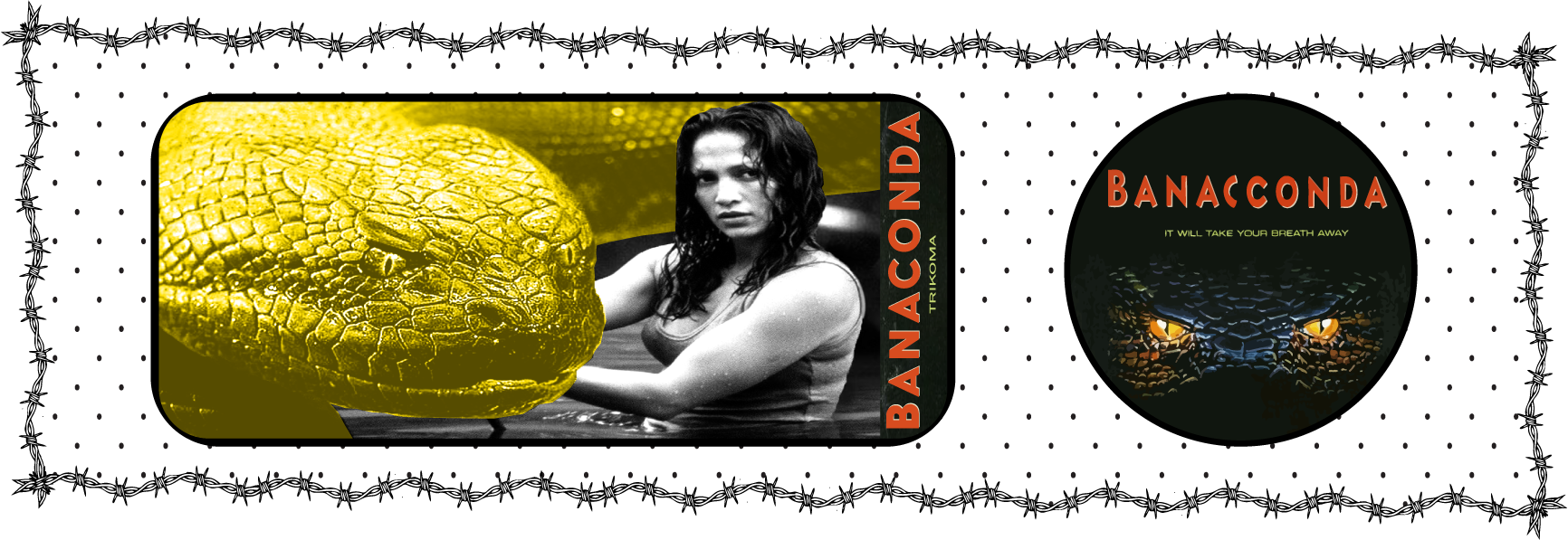 bananaconda portoflio.png