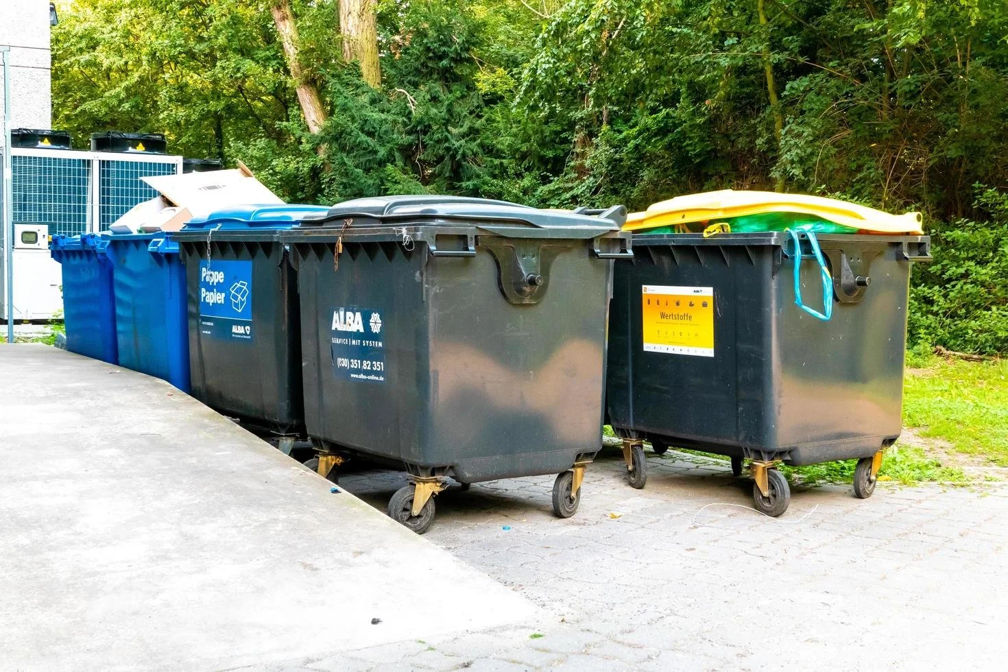 Commercial Trash Bin Sanitation