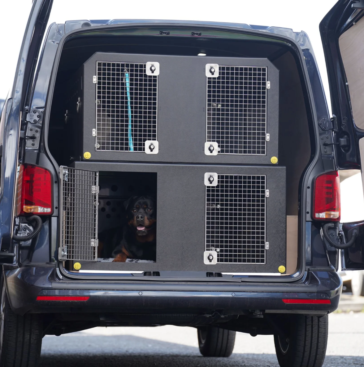 Pet to Vet Transport