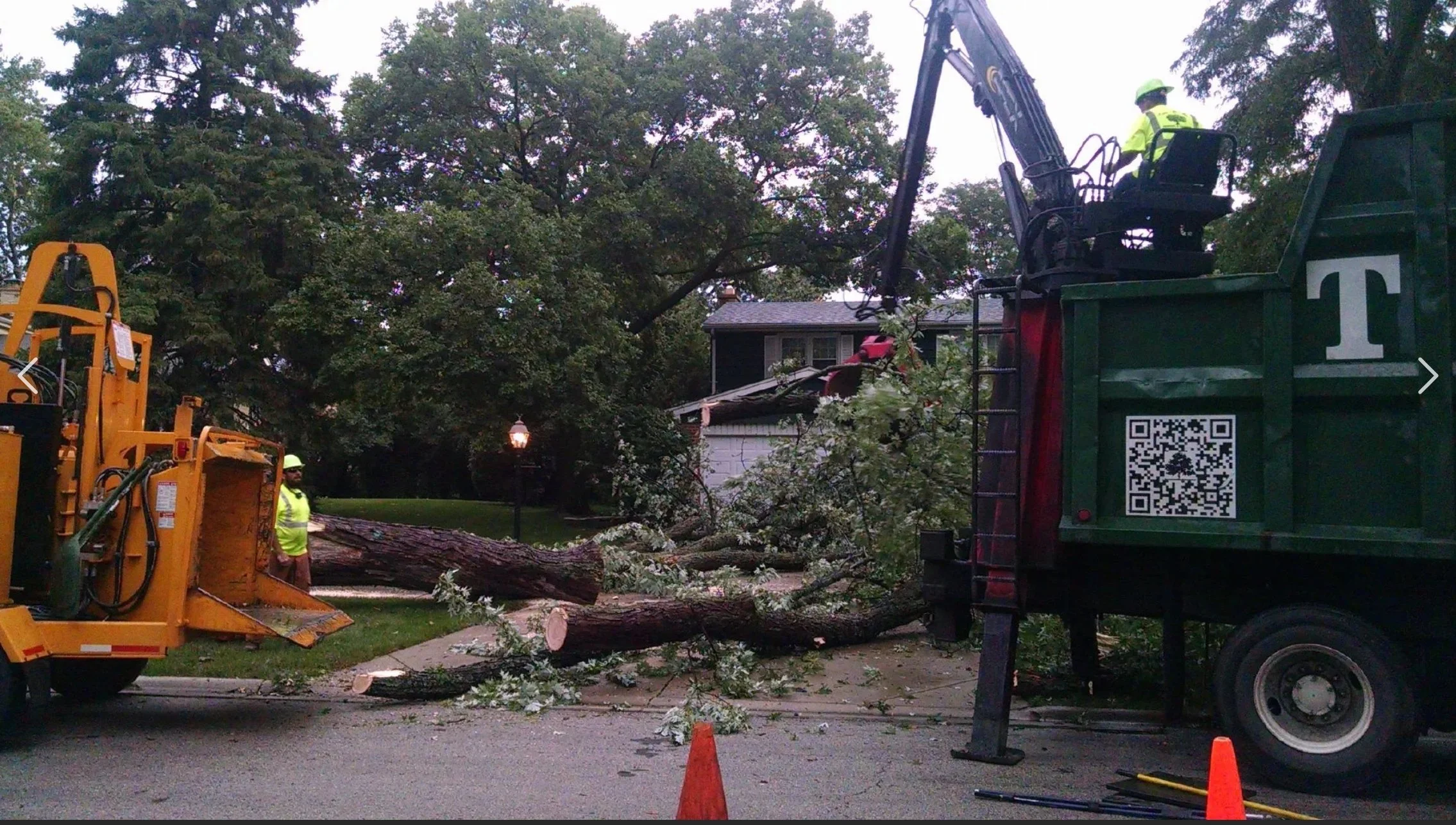 Tree Removal