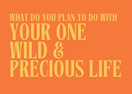 What is it you plan to do with your one wild and precious life?