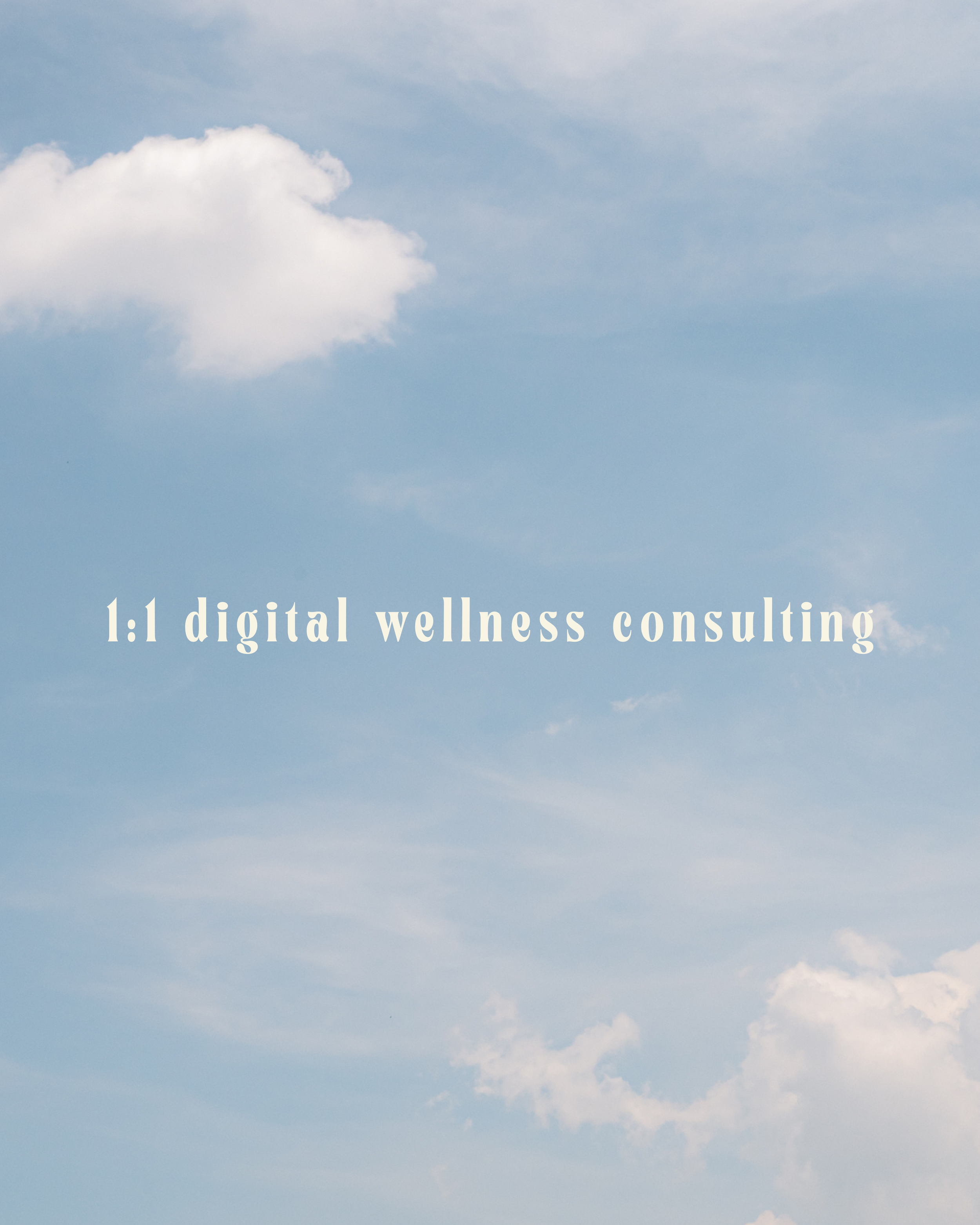 1:1 Digital Wellness Consulting