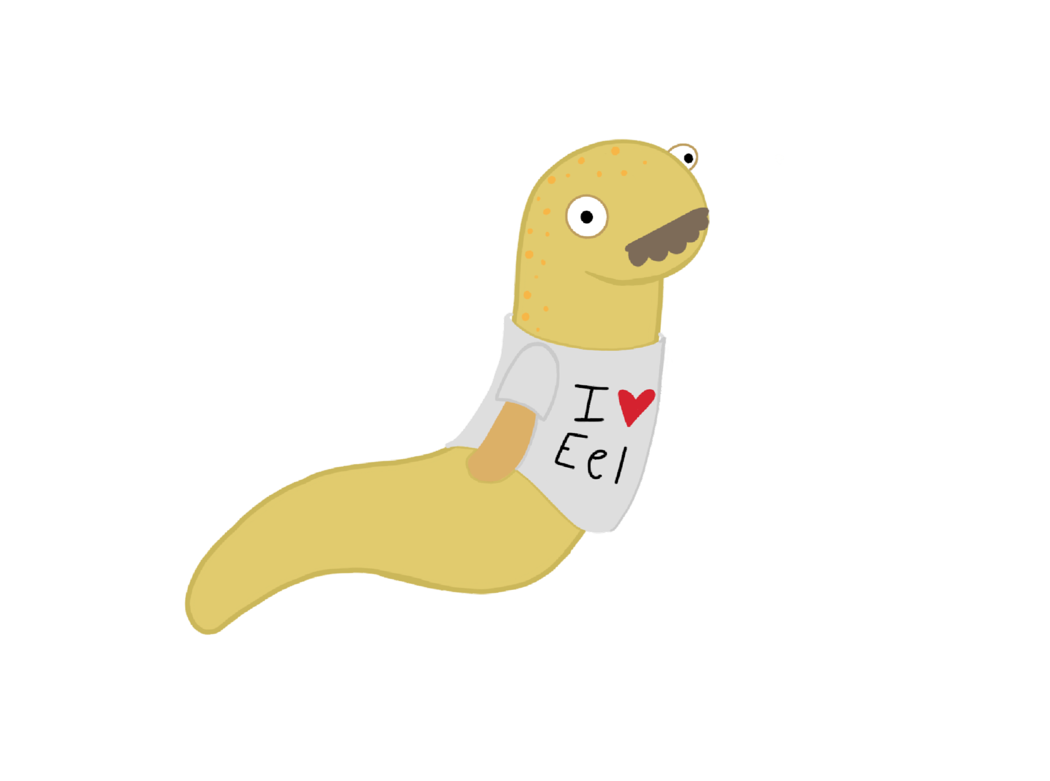 Eels Music Video