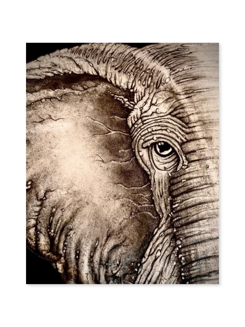 butterfly, mind, therapy, psychology, biology, anthropology, intelligence, history, neuroscience, ometeotl, brain, business, skull, man, strategy, power, complex, therapy, dimensions, elephant