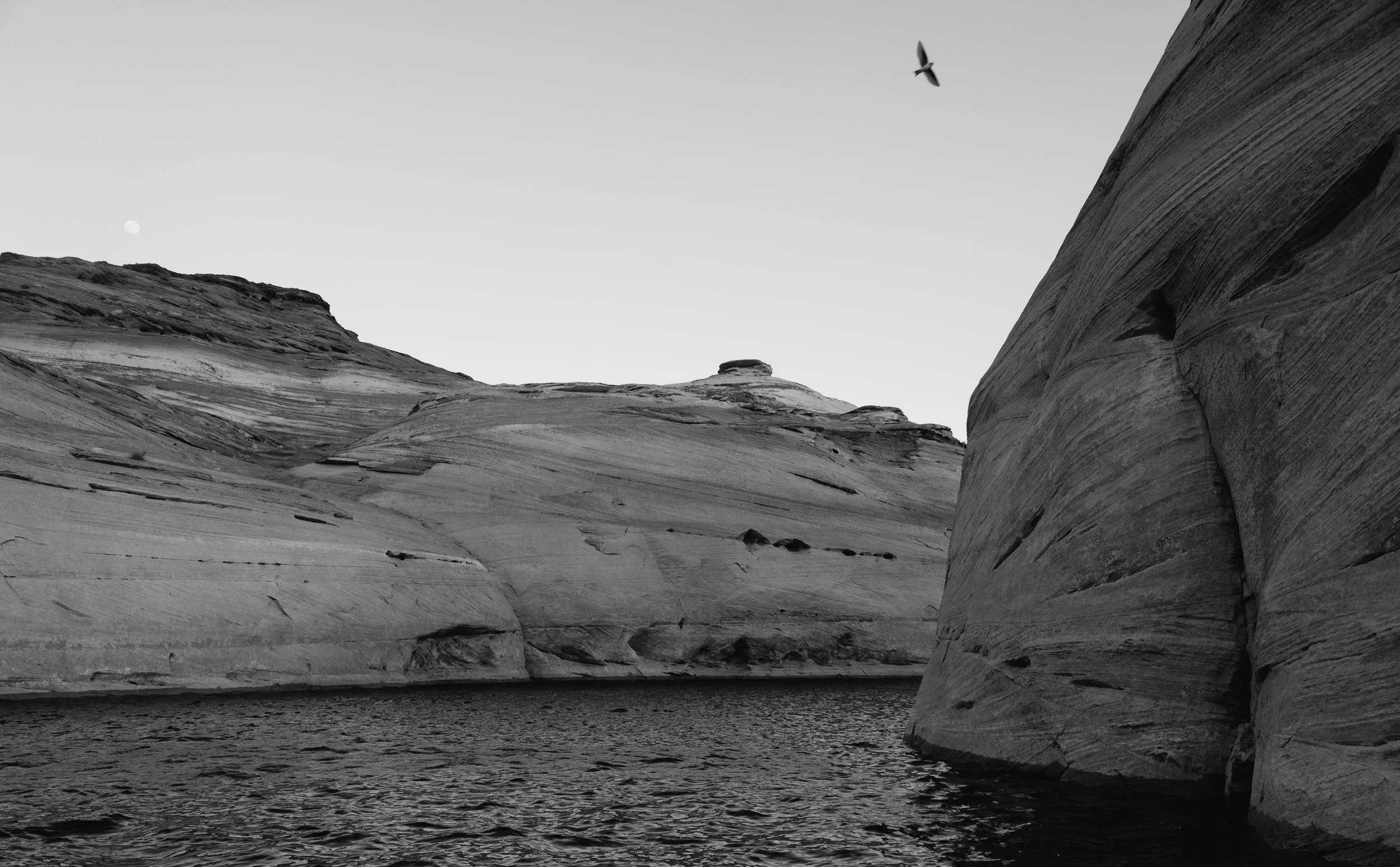 Hybrid Event Package