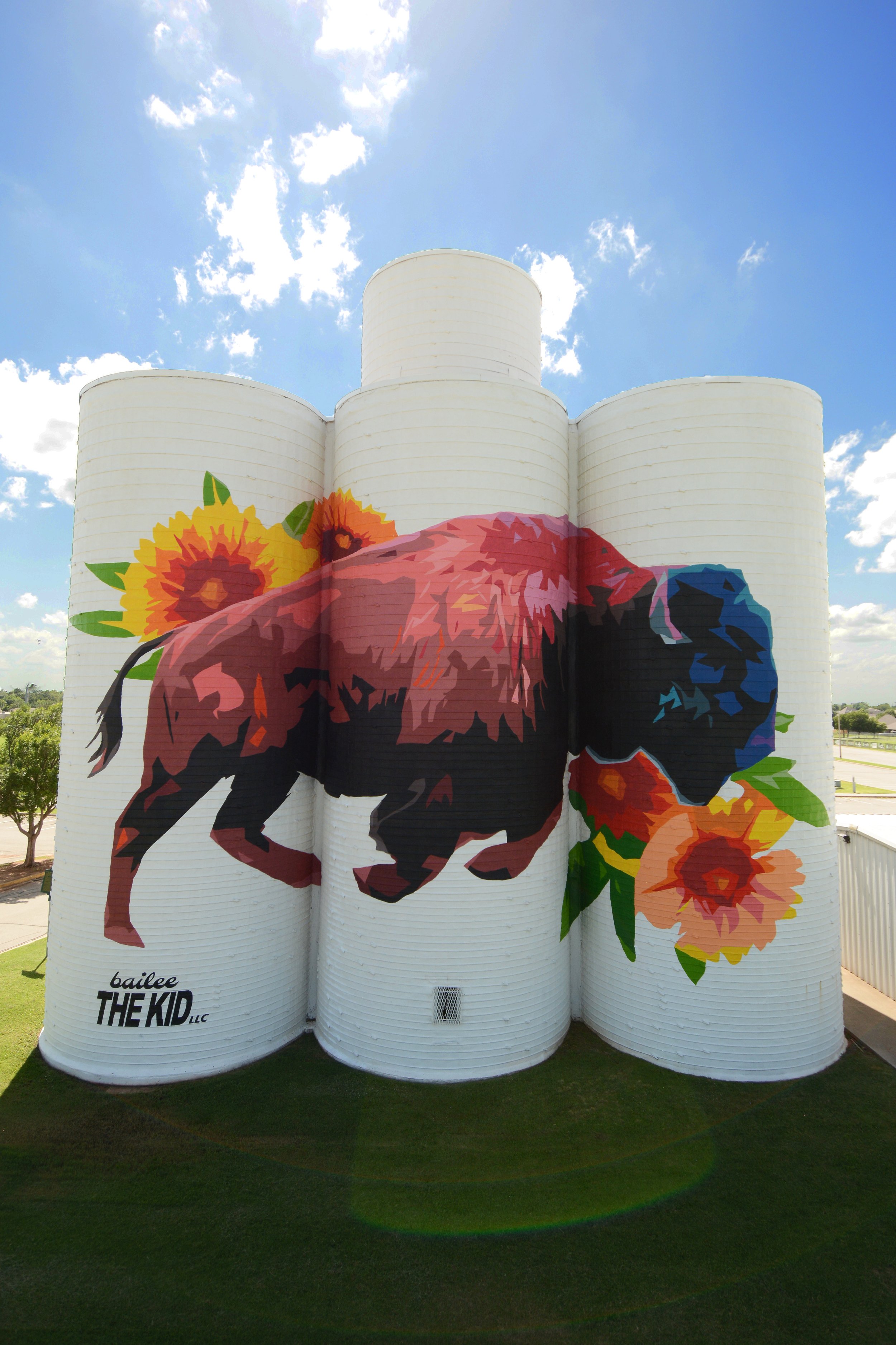 bison4progression copy.jpg