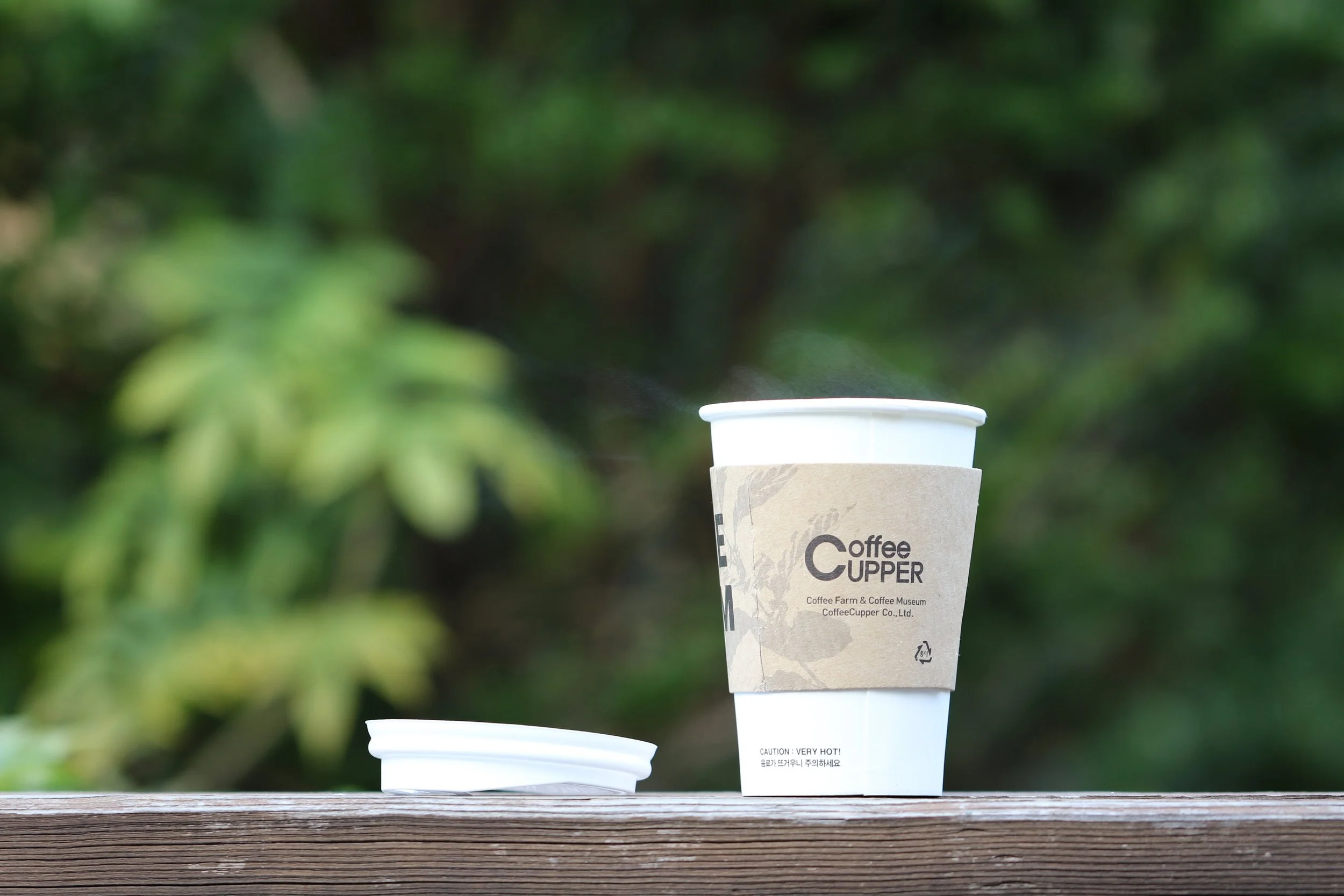 Join me for a Coffee Chat at Scout 