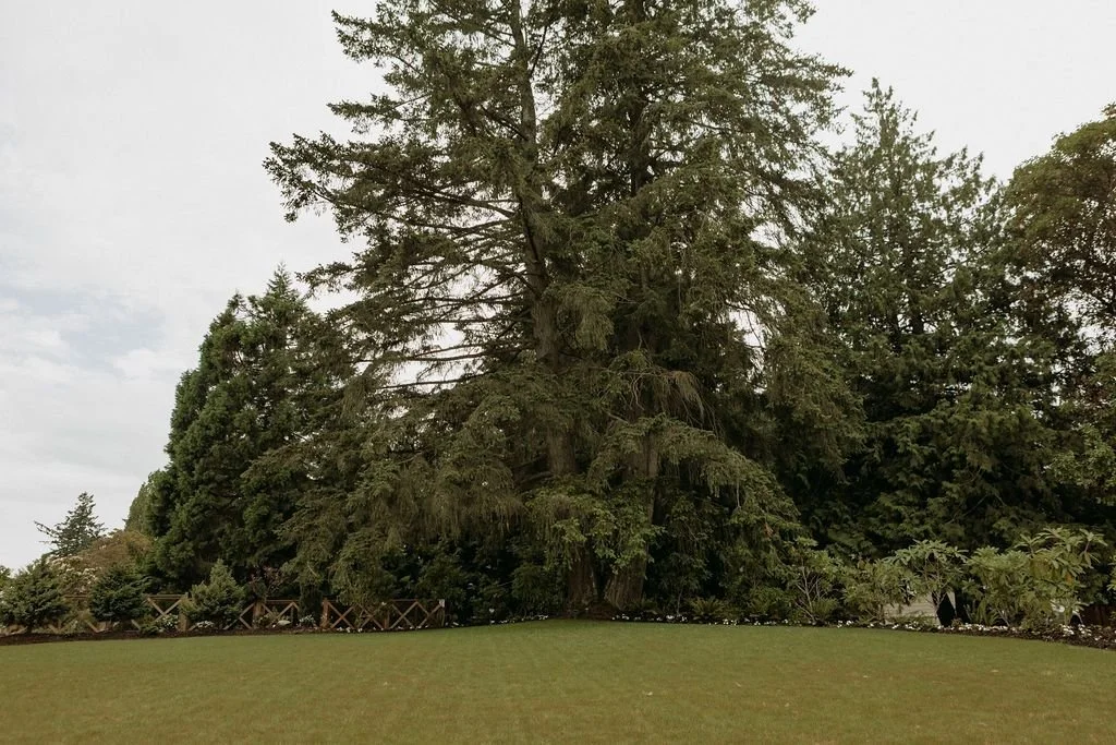 three-sisters-06.jpeg