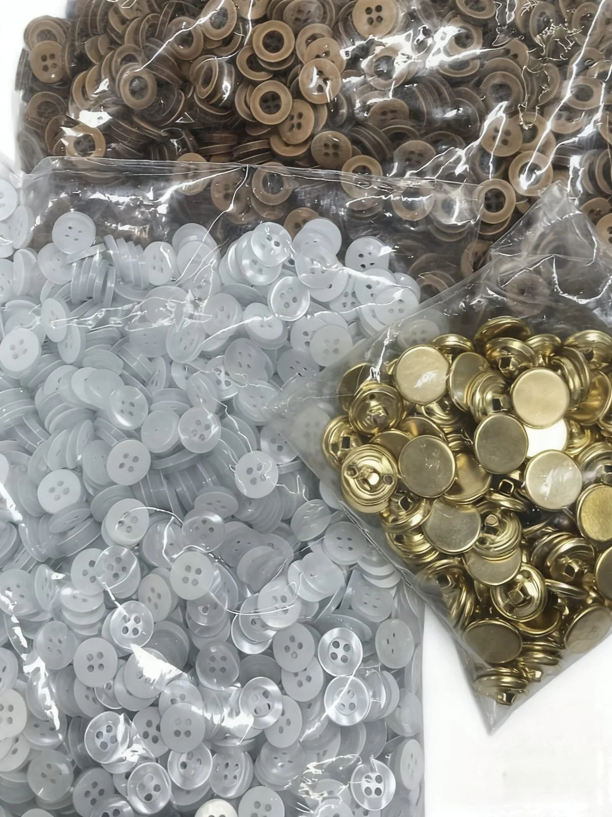 WhatsApp Image 2026-02-19 at 5.37.50 PM (3).jpeg