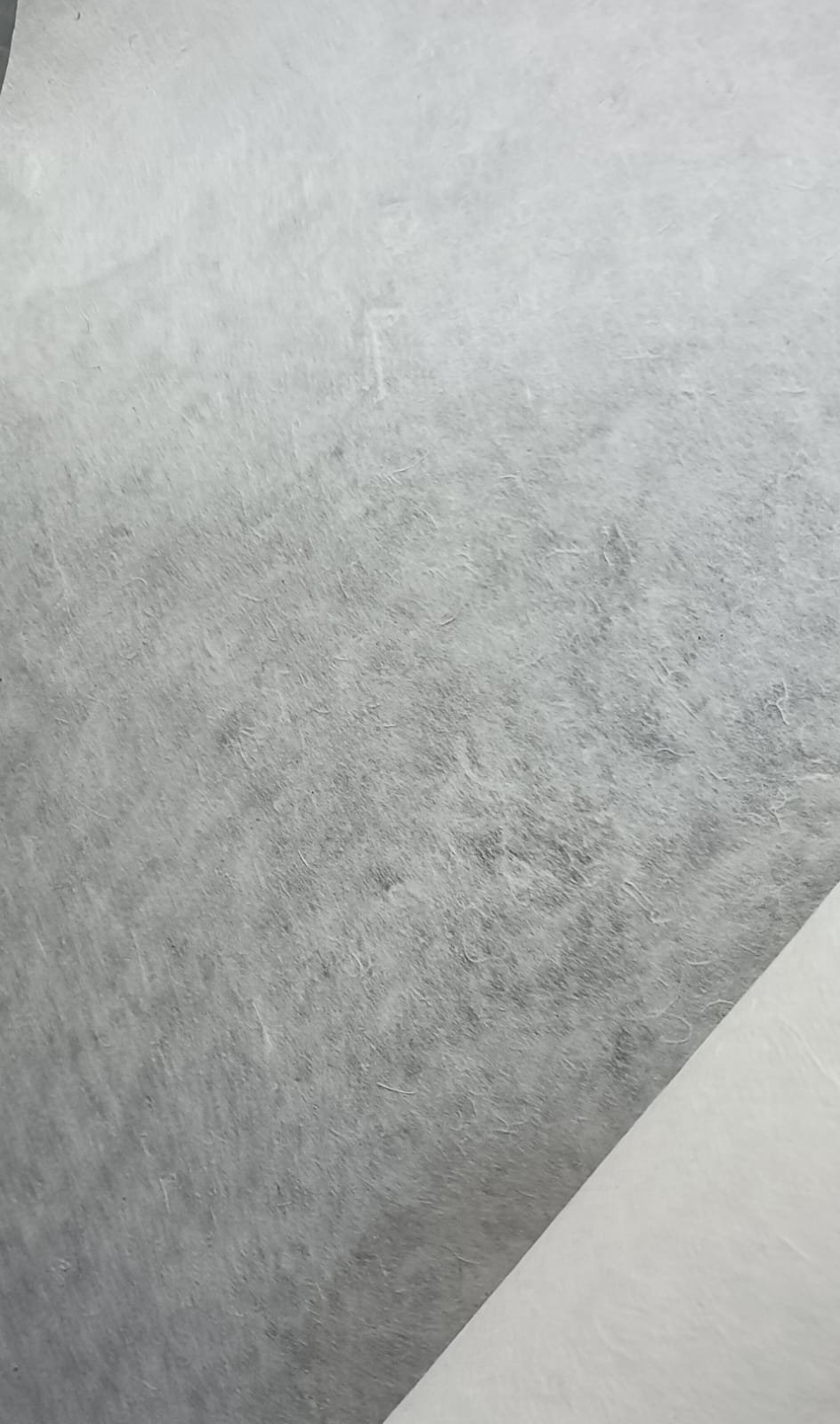 WhatsApp Image 2026-02-19 at 10.09.18 PM.jpeg