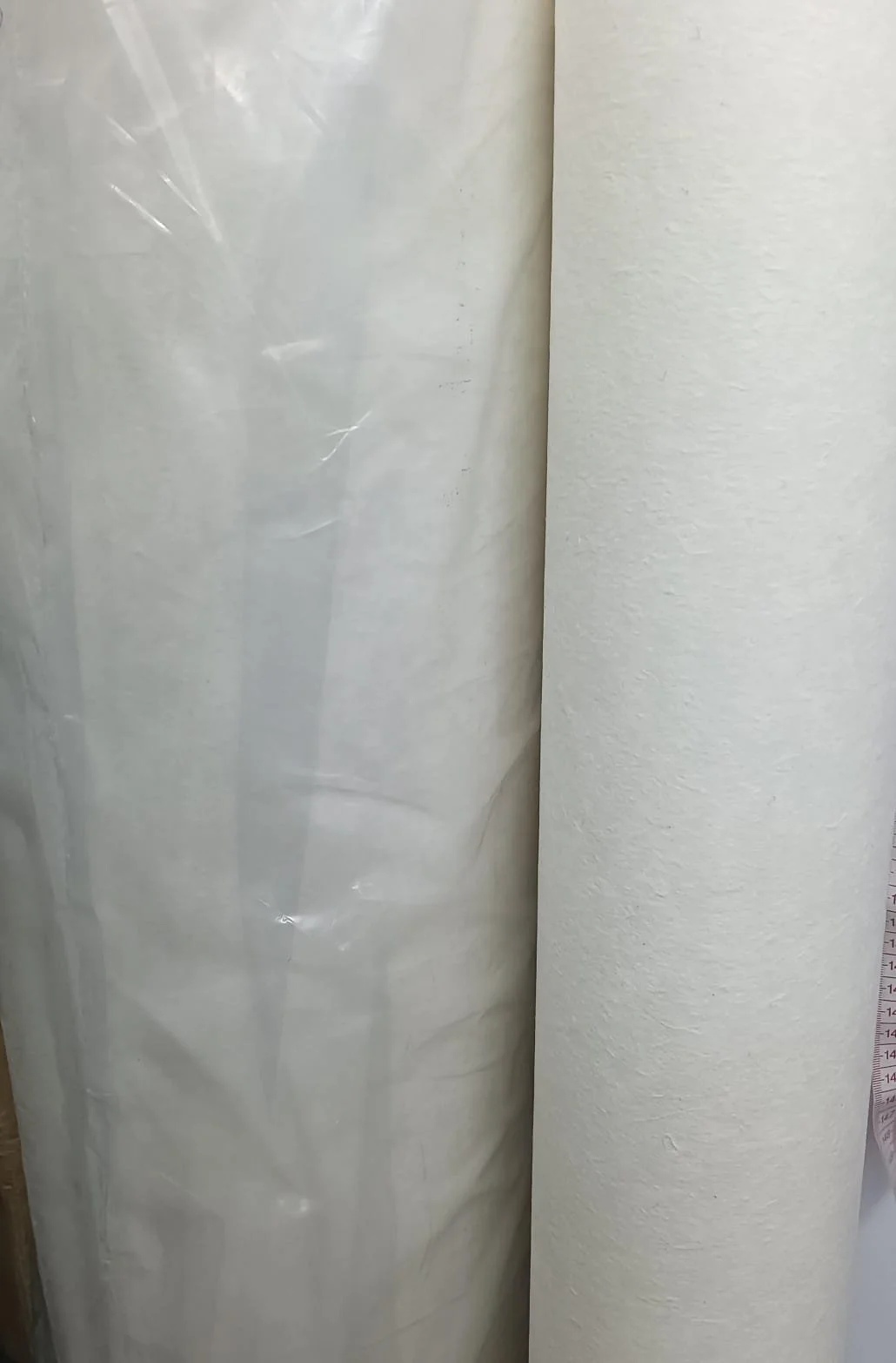 WhatsApp Image 2026-02-19 at 10.08.29 PM.jpeg