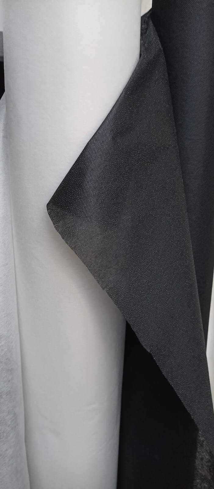 WhatsApp Image 2026-02-19 at 6.58.42 PM.jpeg