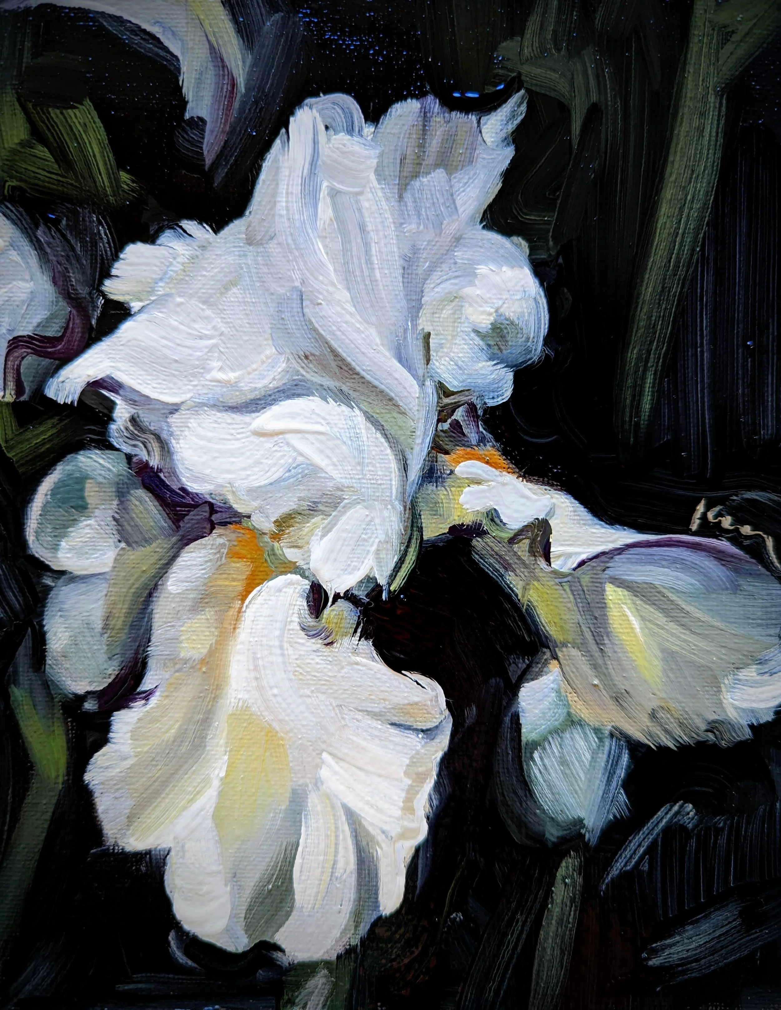 Close-up of white and purple iris flowers with dark background, painted with bold brushstrokes.