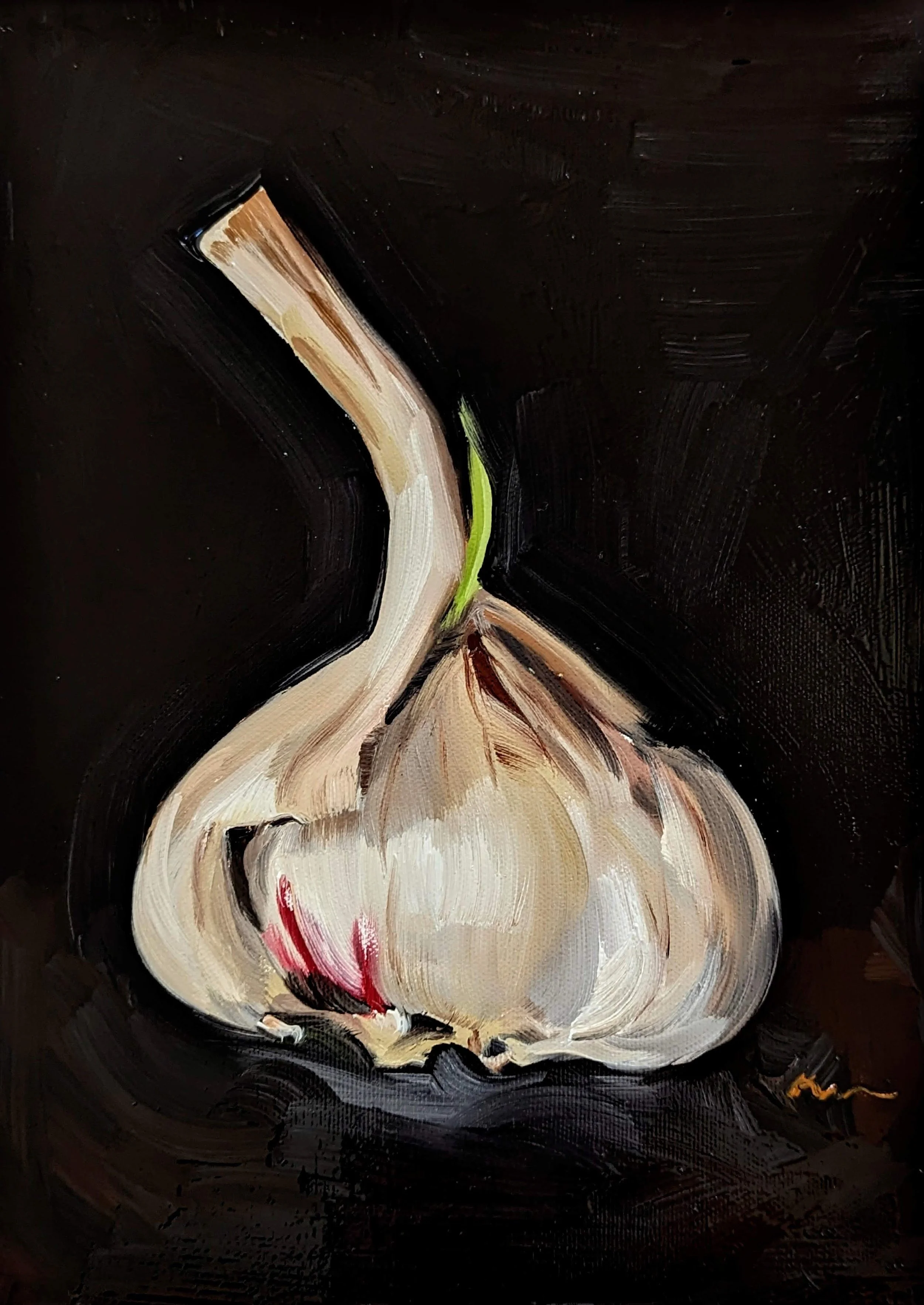 Garlic Bulb, oil on panel, 9x12