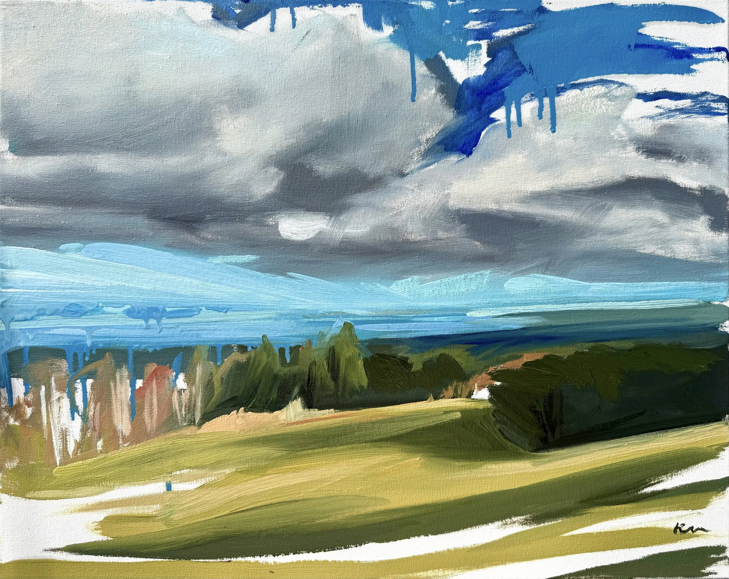 View from Mt Pleasant, oil on canvas, 16x20