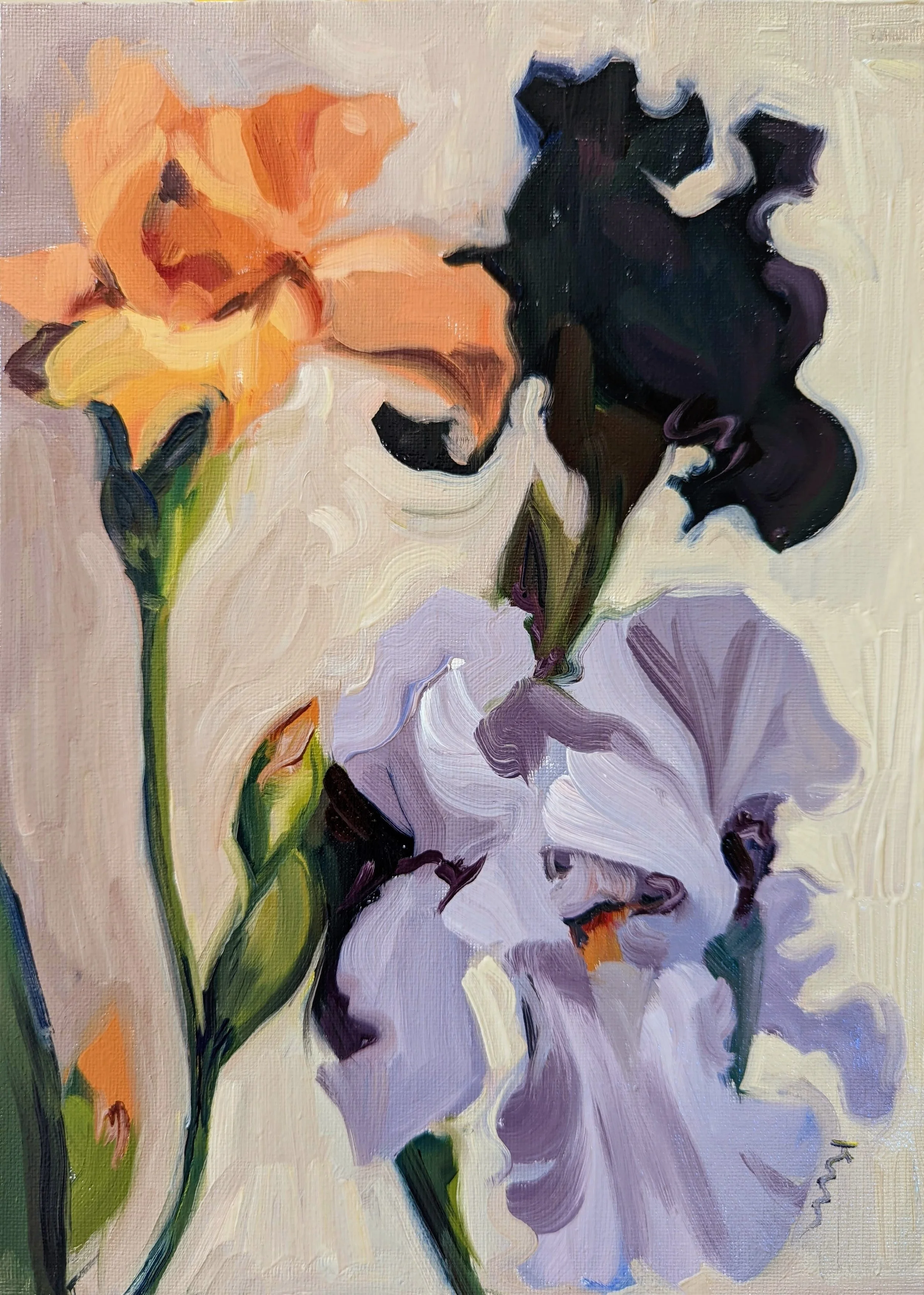Irises, oil on canvas, 9x12