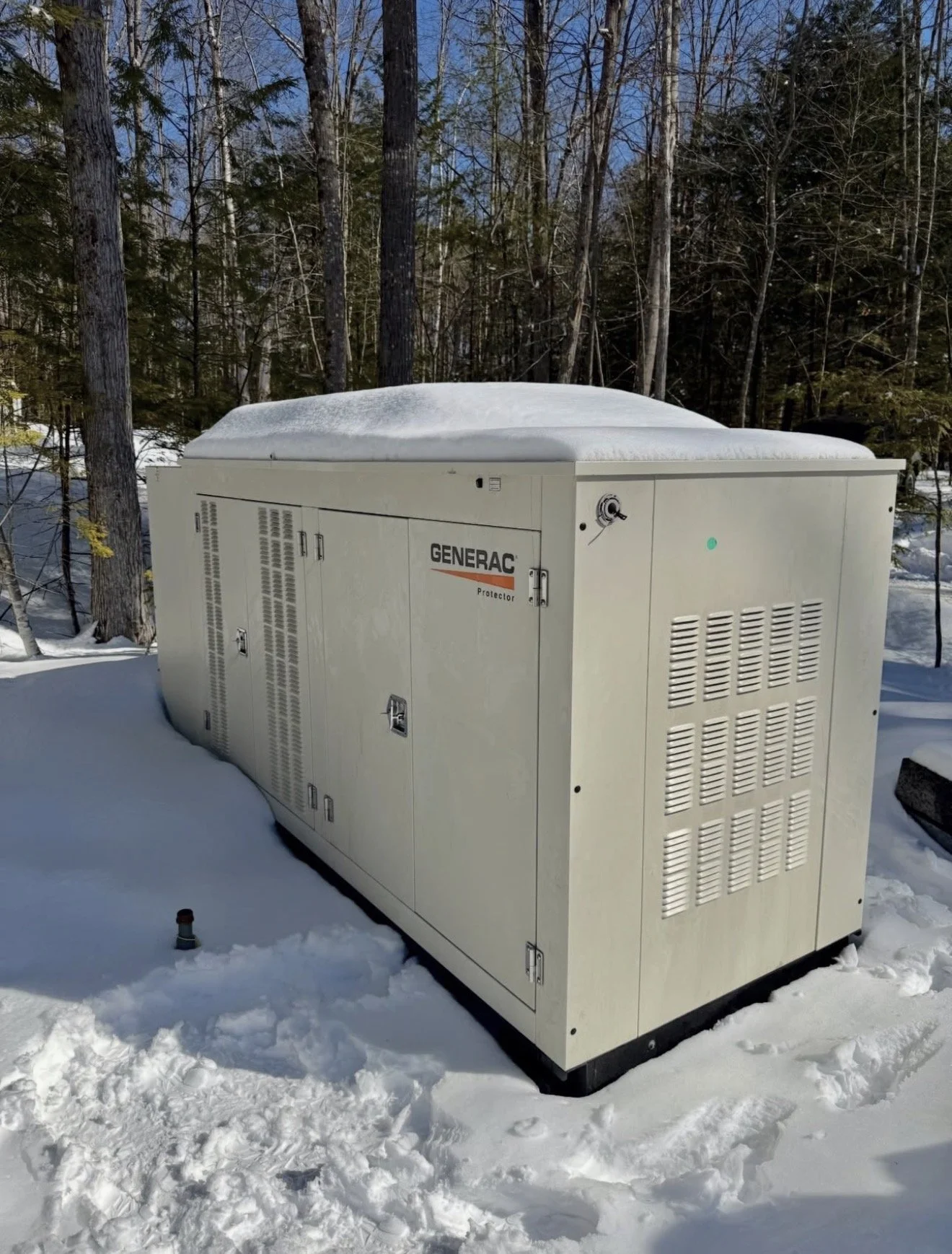 An industrial generator labeled 'GENERAC Protector' outdoors in a snow-covered wooded area of tall trees, with snow on top of the generator and covering the ground.