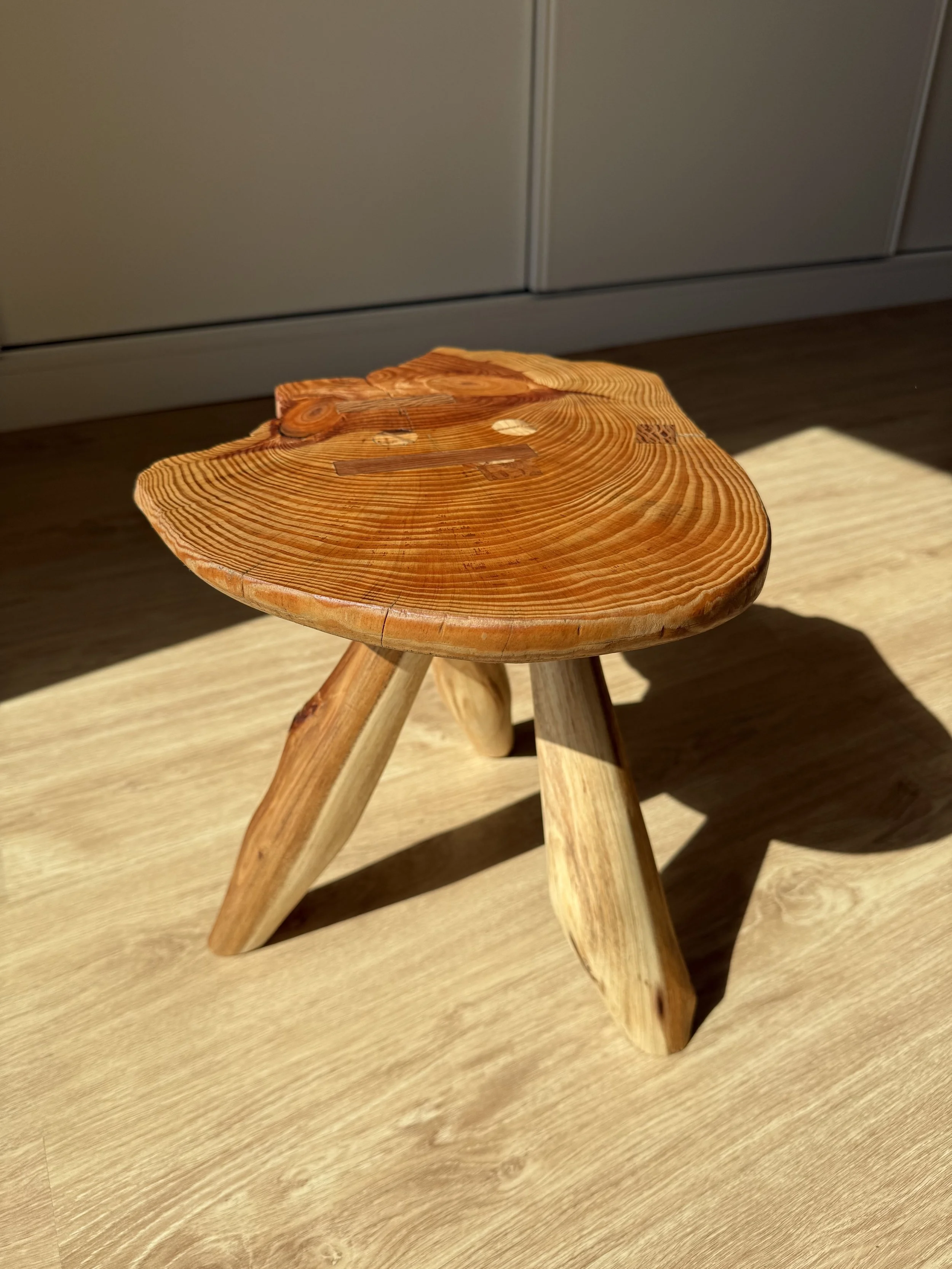 IMG_6910 - final.jpg