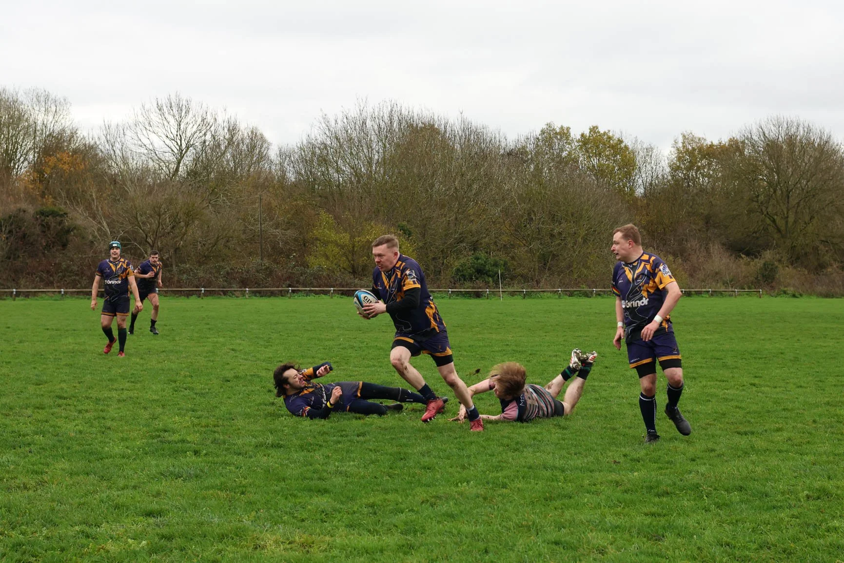Rugby players in dark blue uniforms playing on a green grass field, with one player running with the ball while others are on the ground or standing nearby, and a wooded area in the background.