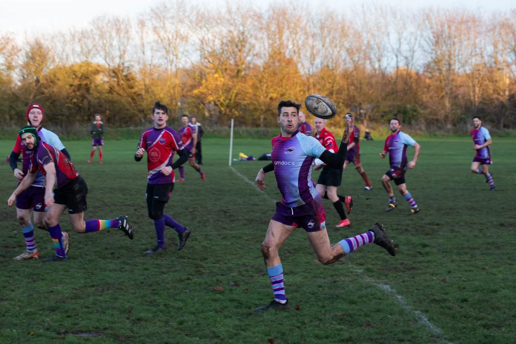 A group of rugby players with purple and red uniforms playing on a grassy field with autumn trees in the background. One player is in mid-action, catching or throwing a rugby ball.