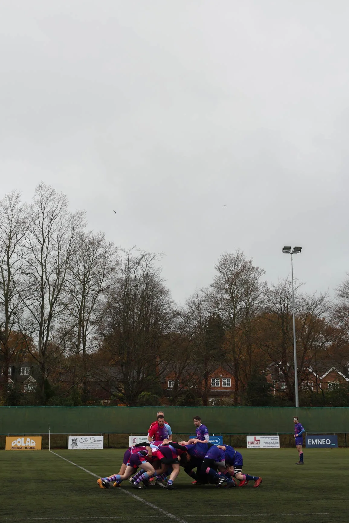A rugby match is in progress on a field with players engaged in a scrum. The players are wearing red and purple jerseys. In the background, there are leafless trees, residential houses, and advertising banners along the perimeter of the field. The sk