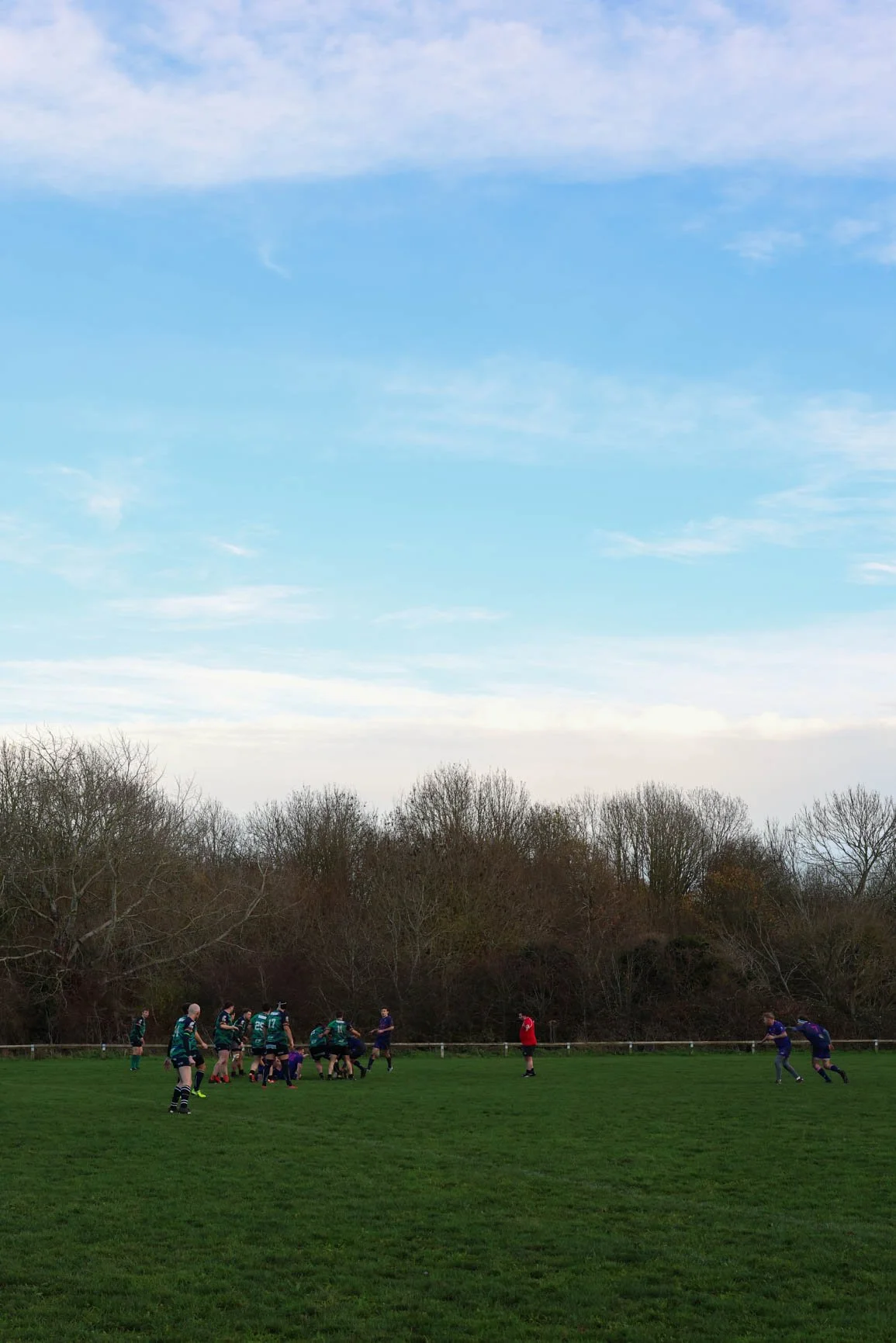 Rugby players in green jerseys on a grassy field, with a few officials in purple and red shirts, playing under a cloudy sky with leafless trees in the background.