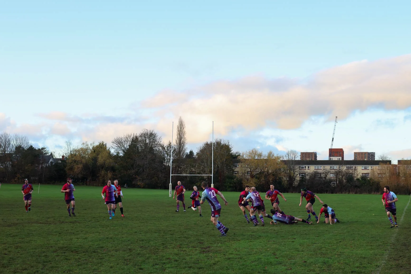 Rugby players in purple and red jerseys on a grassy field during a game, with some players on the ground and others running, under a blue sky with clouds, with trees and buildings in the background.