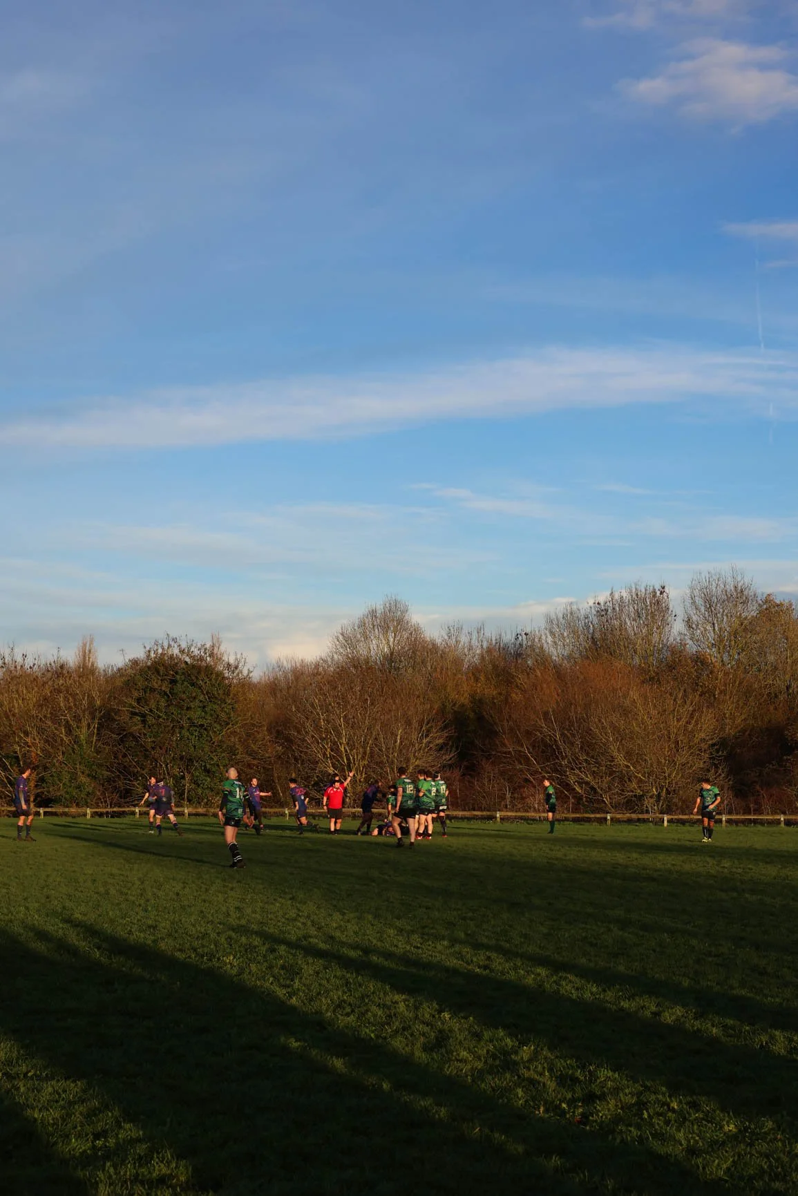 A rugby match taking place outdoors on a grassy field with players in green and purple jerseys. The game is under a blue sky with scattered clouds, and trees with autumn foliage line the background.
