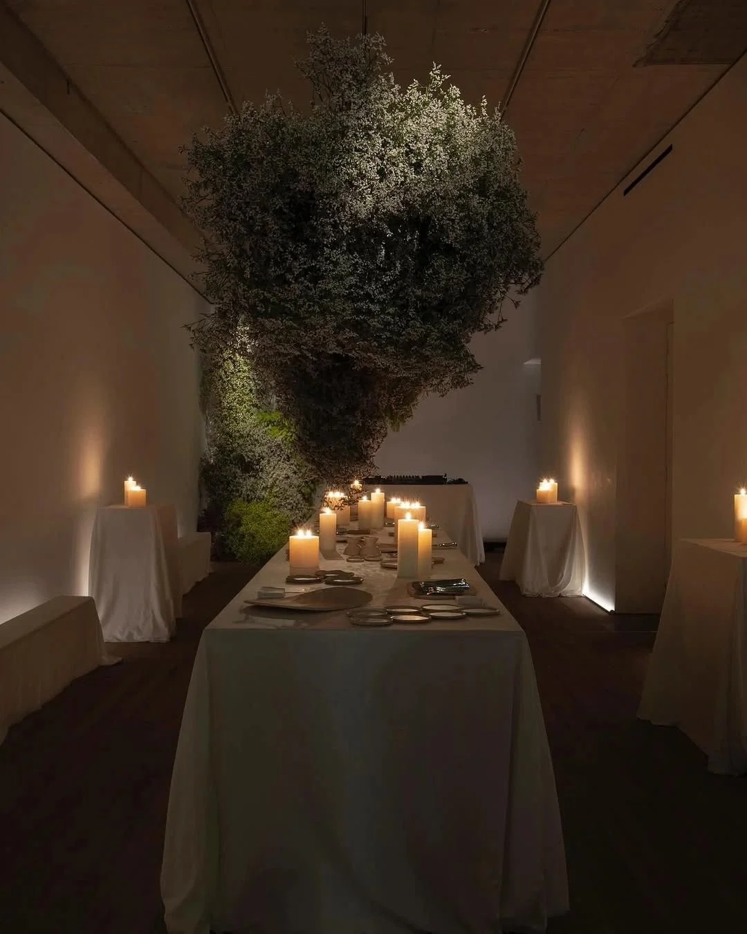 WhatsApp Image 2026-03-22 at 12.01.31.jpeg