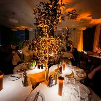 Habibi rooftop lounge in Bushwick Brooklyn located inside an industrial warehouse building with neon lights and lounge seating.