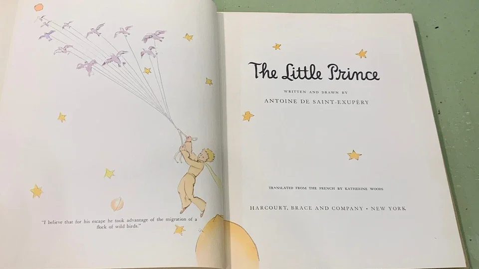 The_little_prince_3.webp
