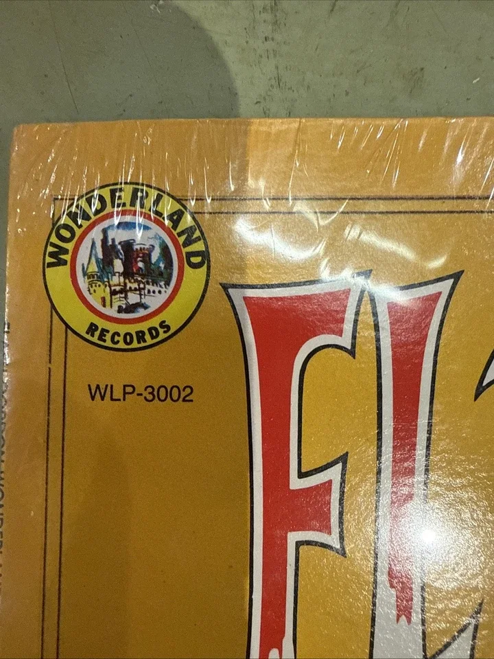 flash_10.webp