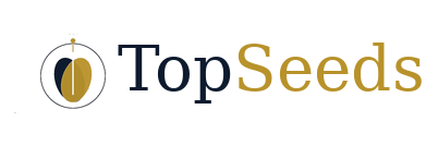 TopSeeds